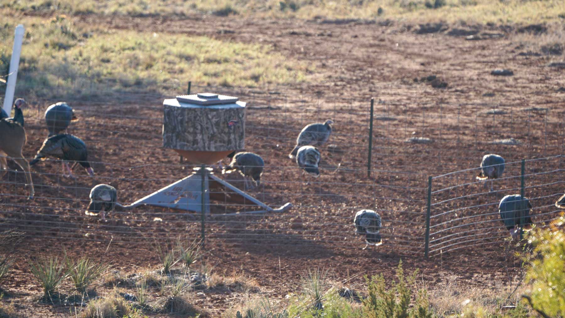 Teta Sola Ranch property picture 84 of 100