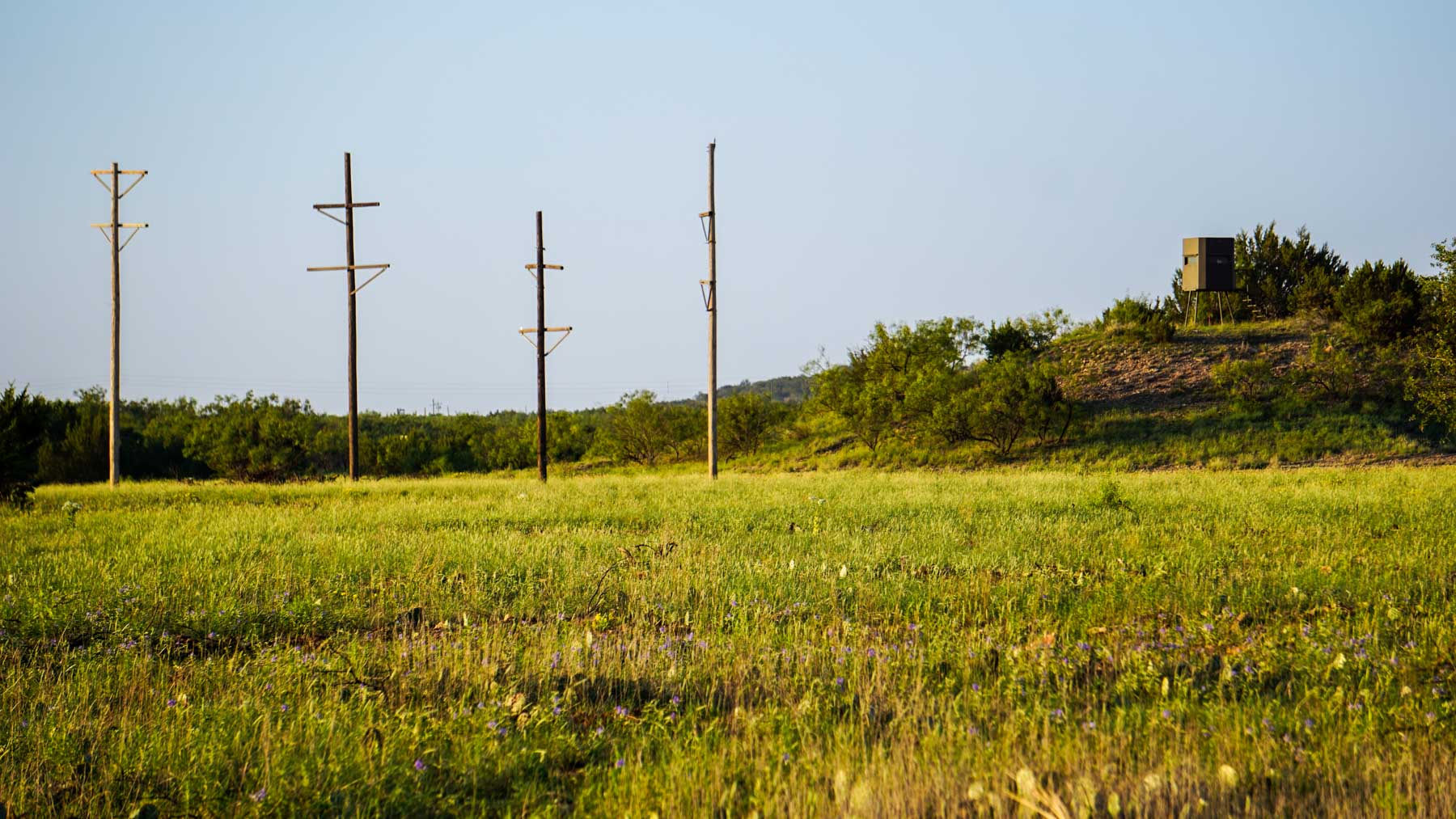 Teta Sola Ranch property picture 26 of 100