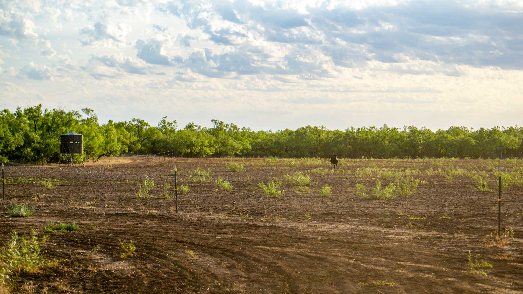Teta Sola Ranch property picture 61 of 100