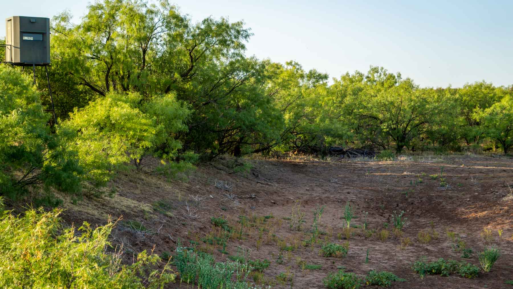 Teta Sola Ranch property picture 37 of 100