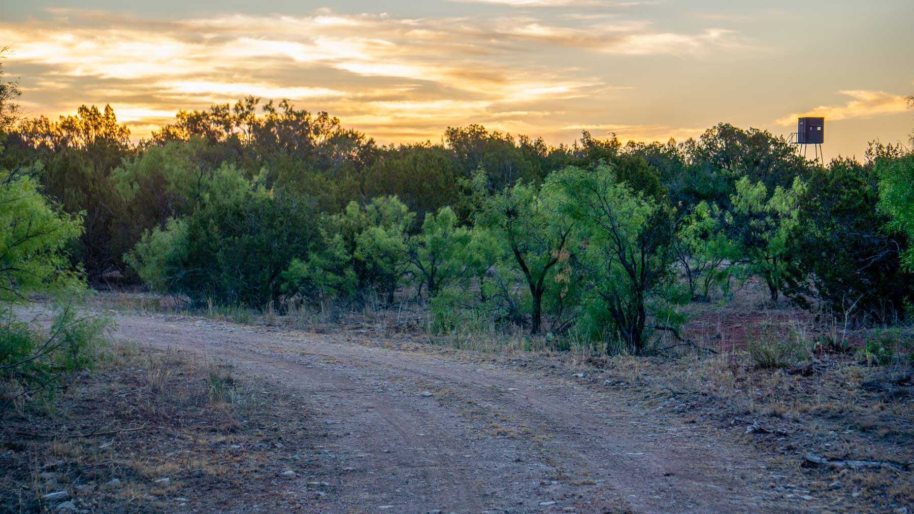 Teta Sola Ranch property picture 45 of 100