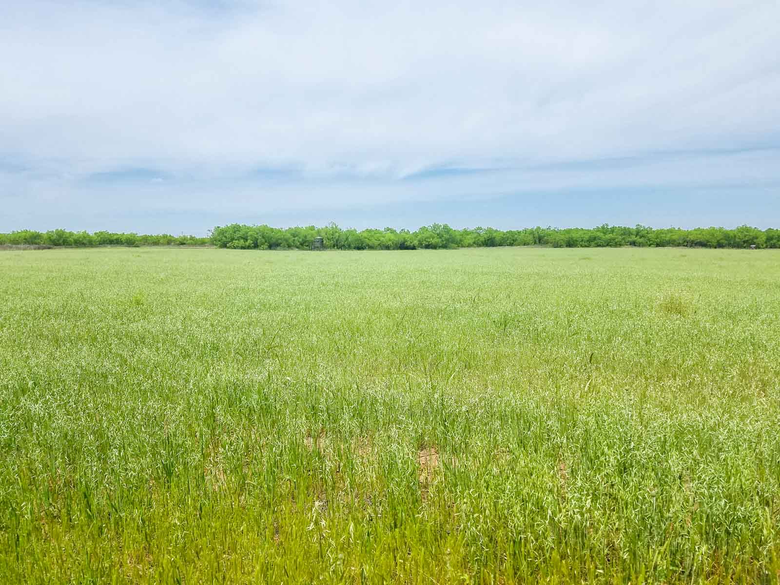 Teta Sola Ranch property picture 3 of 100