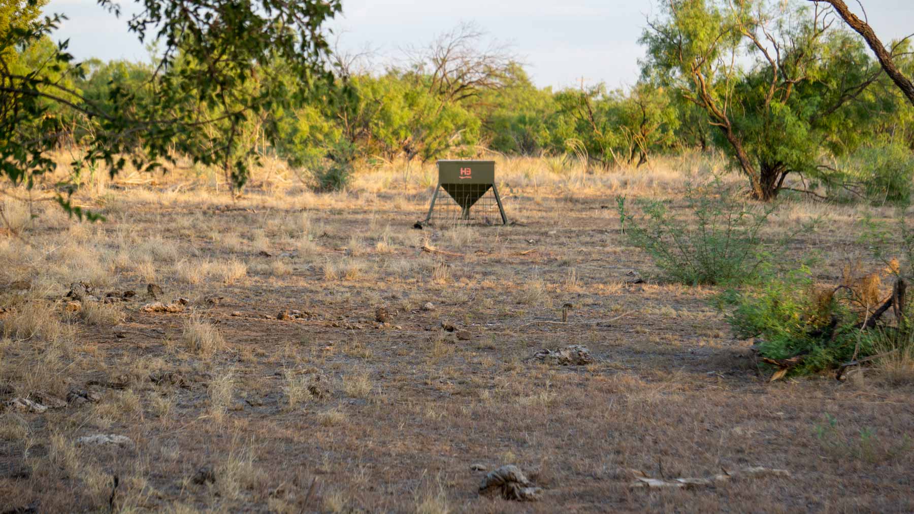 Teta Sola Ranch property picture 34 of 100