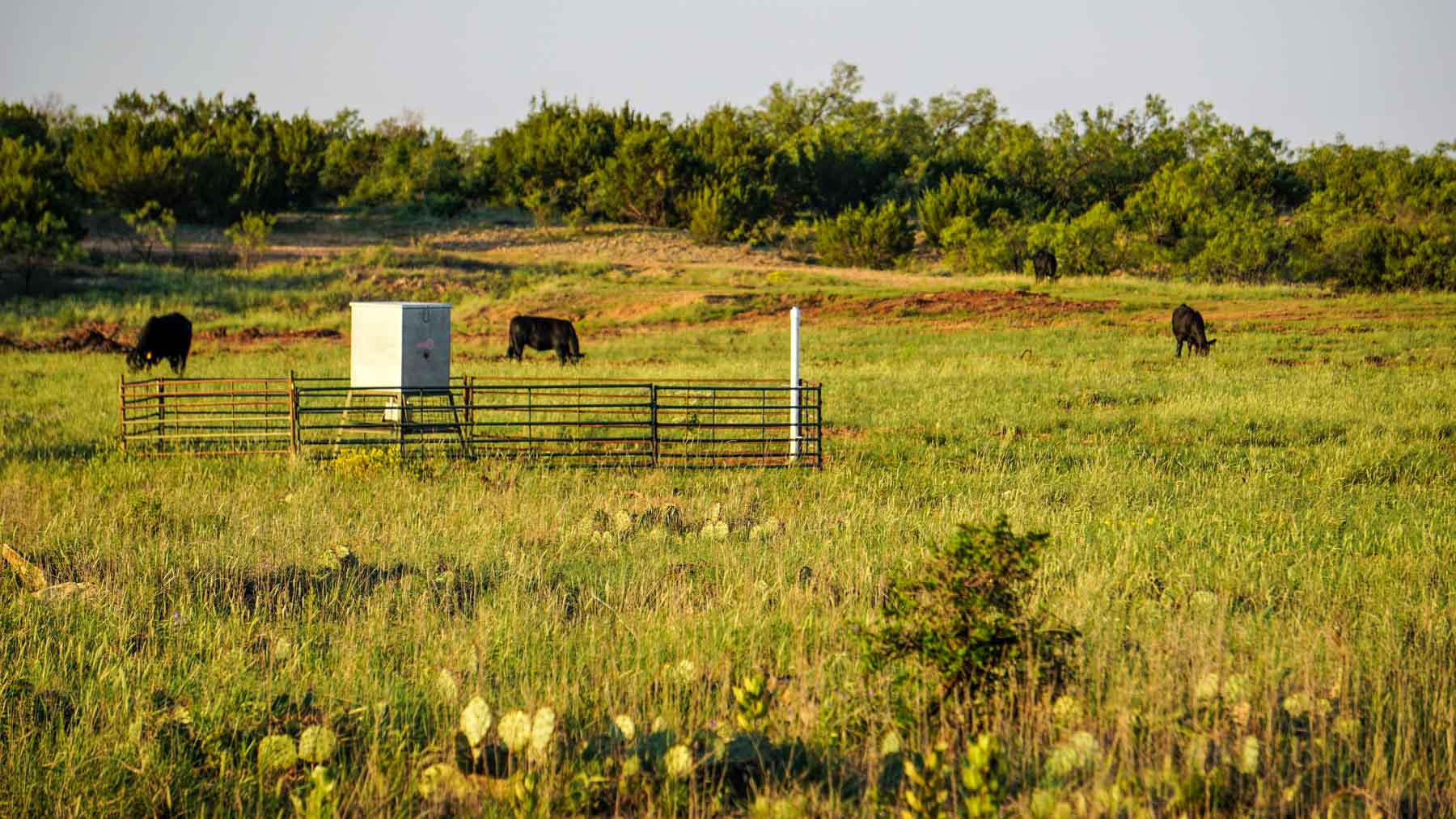 Teta Sola Ranch property picture 31 of 100