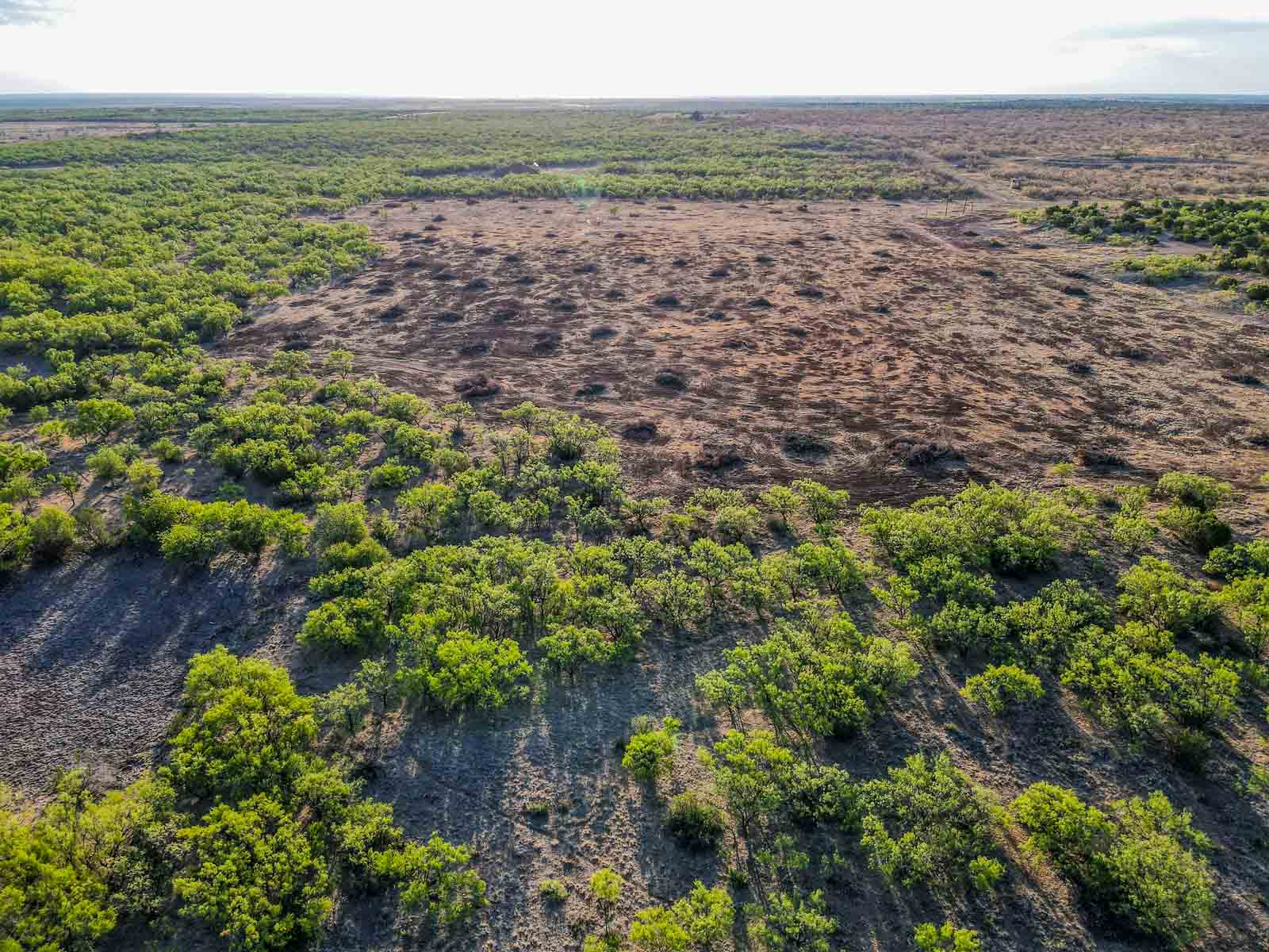 Teta Sola Ranch property picture 69 of 100