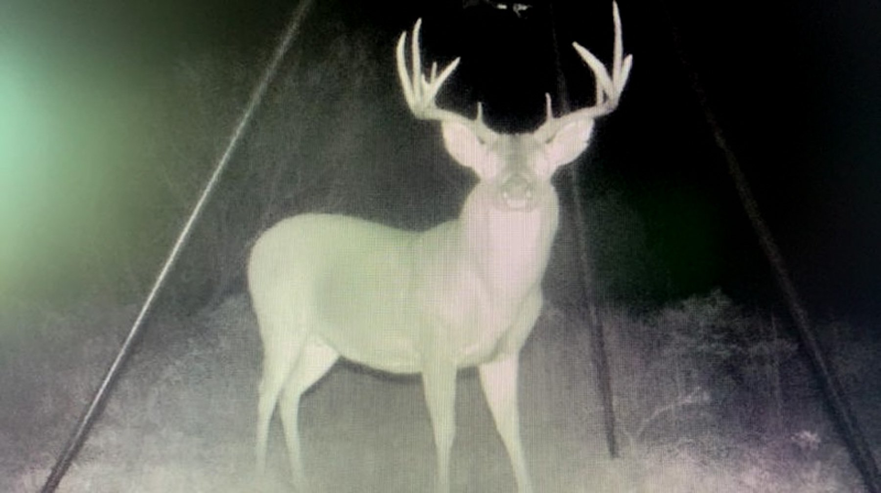 Teta Sola Ranch property picture 20 of 100