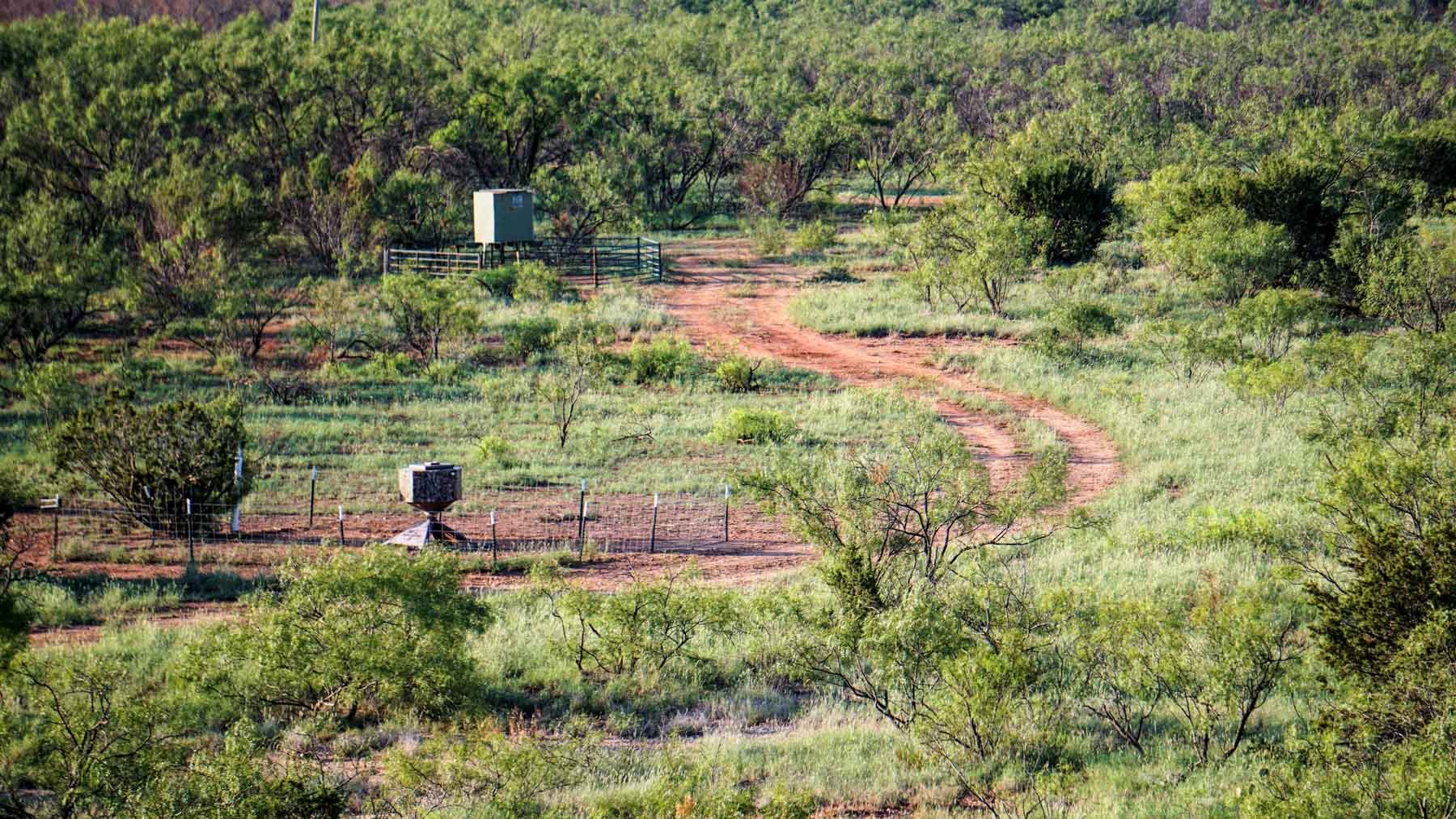 Teta Sola Ranch property picture 72 of 100