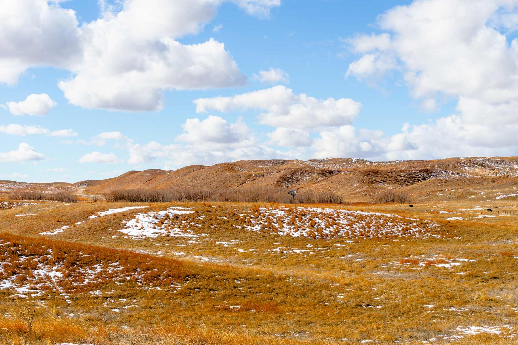 Malles Ranch property picture 65 of 70