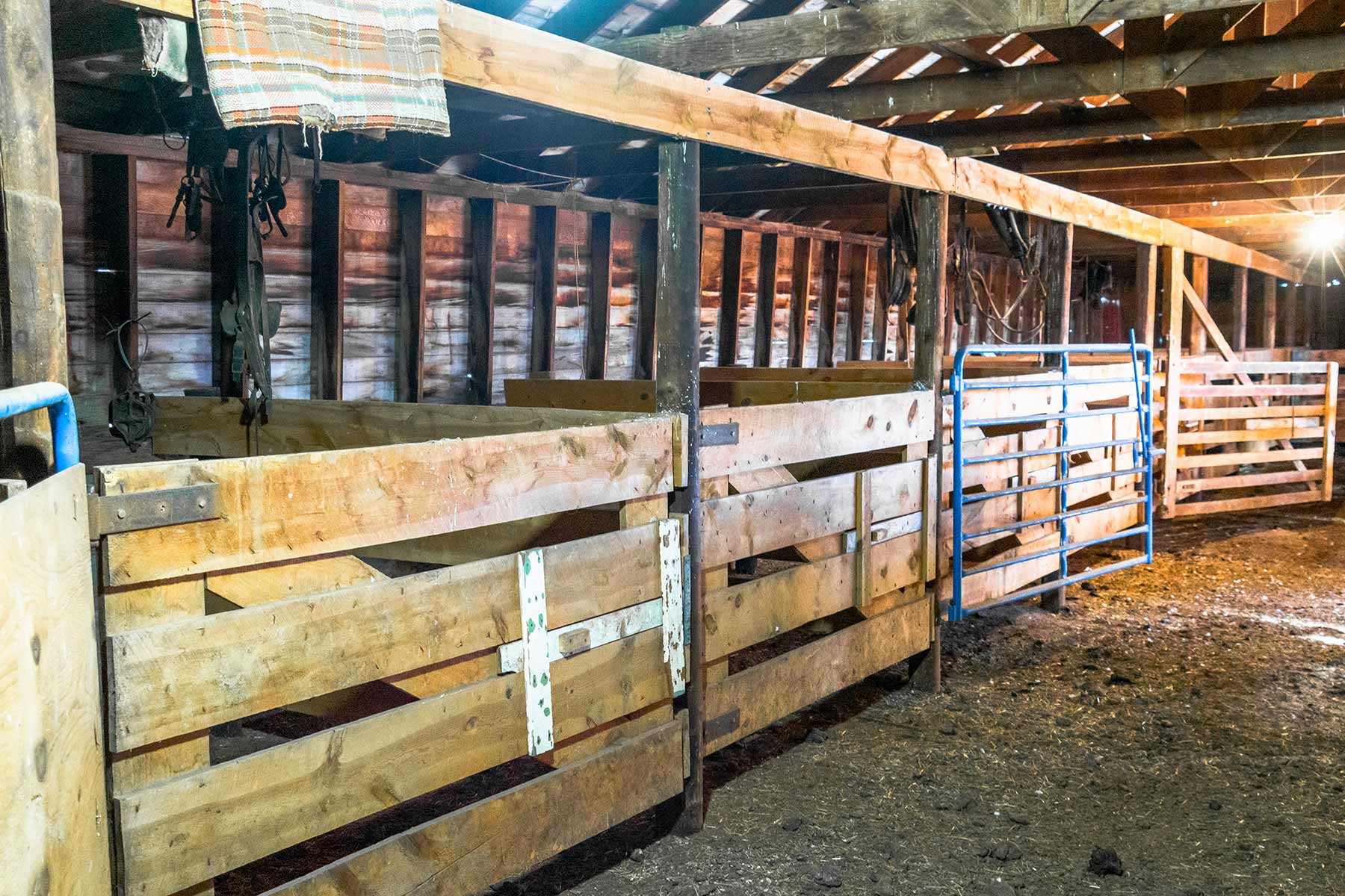 Malles Ranch property picture 52 of 70