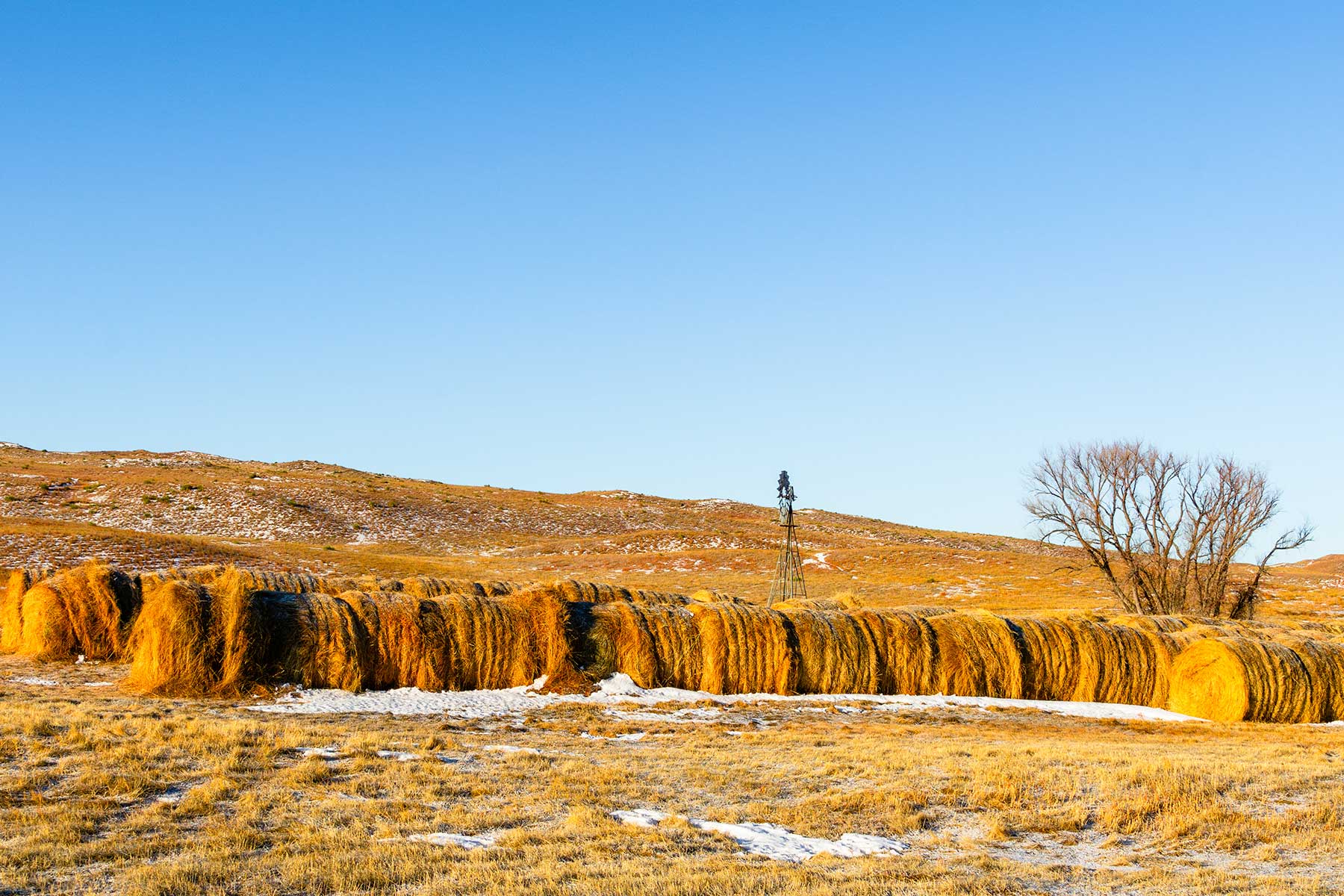 Malles Ranch property picture 39 of 70