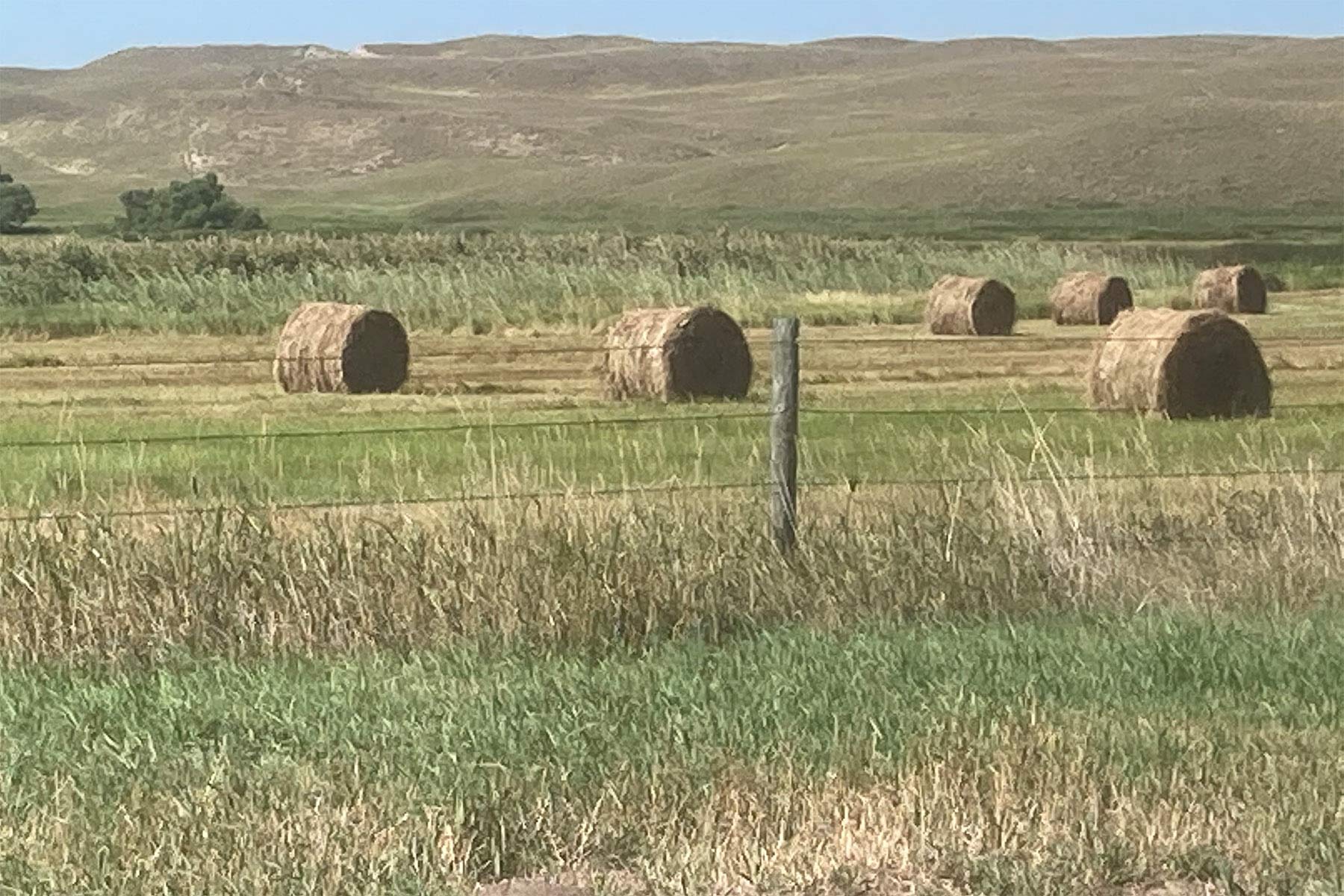 Malles Ranch property picture 11 of 70