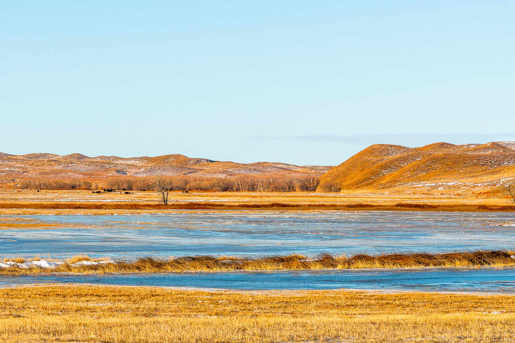 Malles Ranch property picture 46 of 70