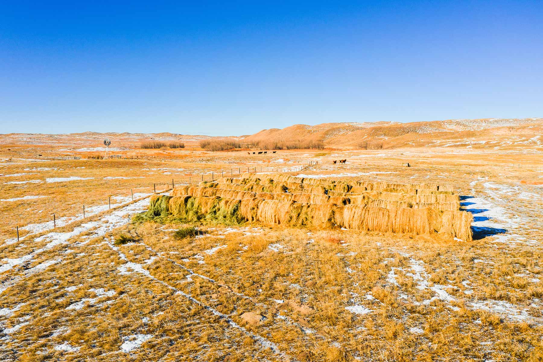 Malles Ranch property picture 35 of 70