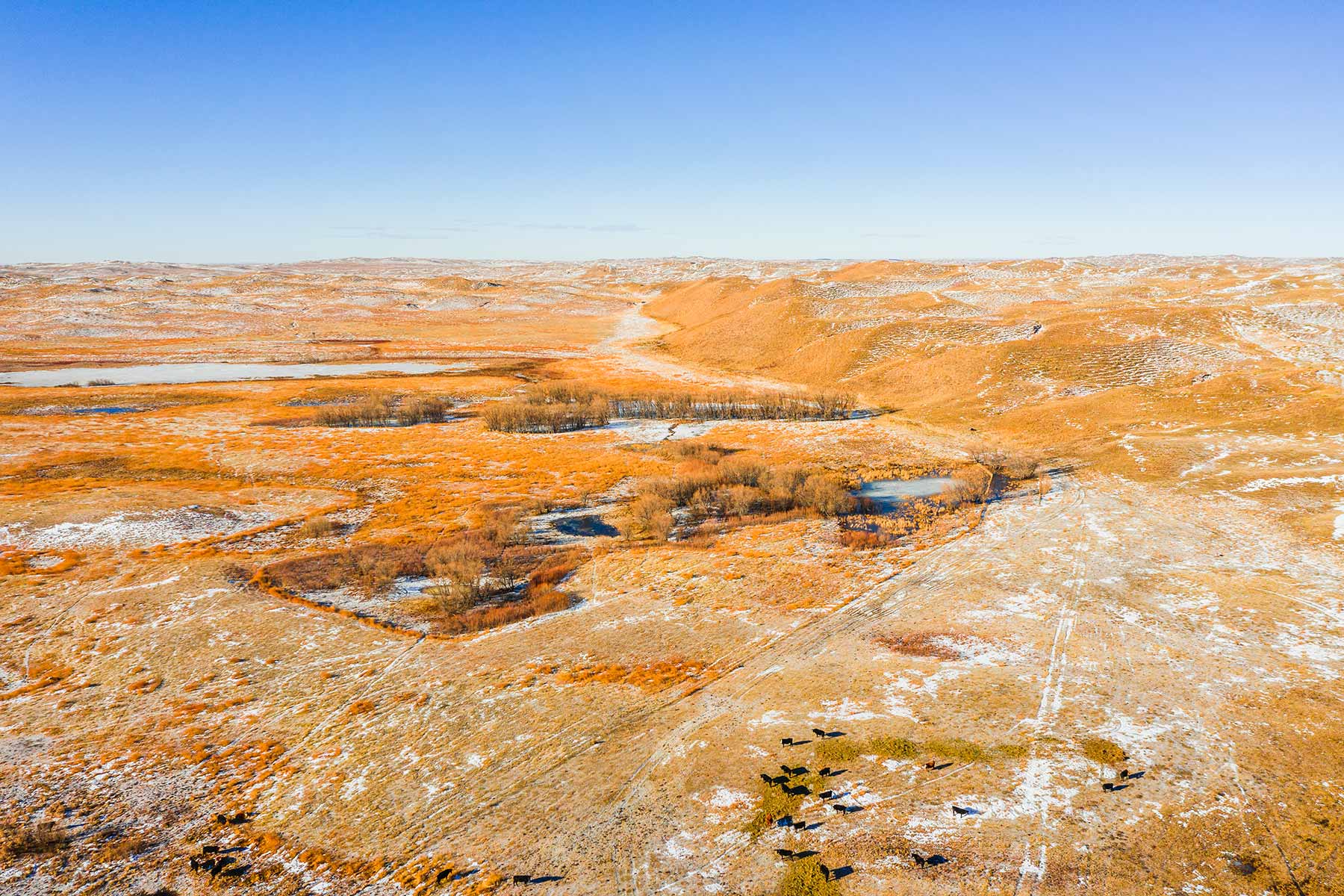 Malles Ranch property picture 12 of 70