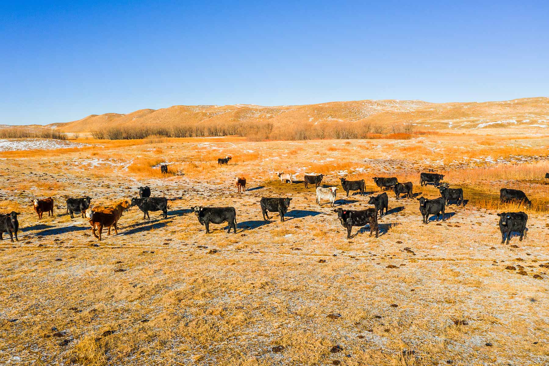 Malles Ranch property picture 5 of 70