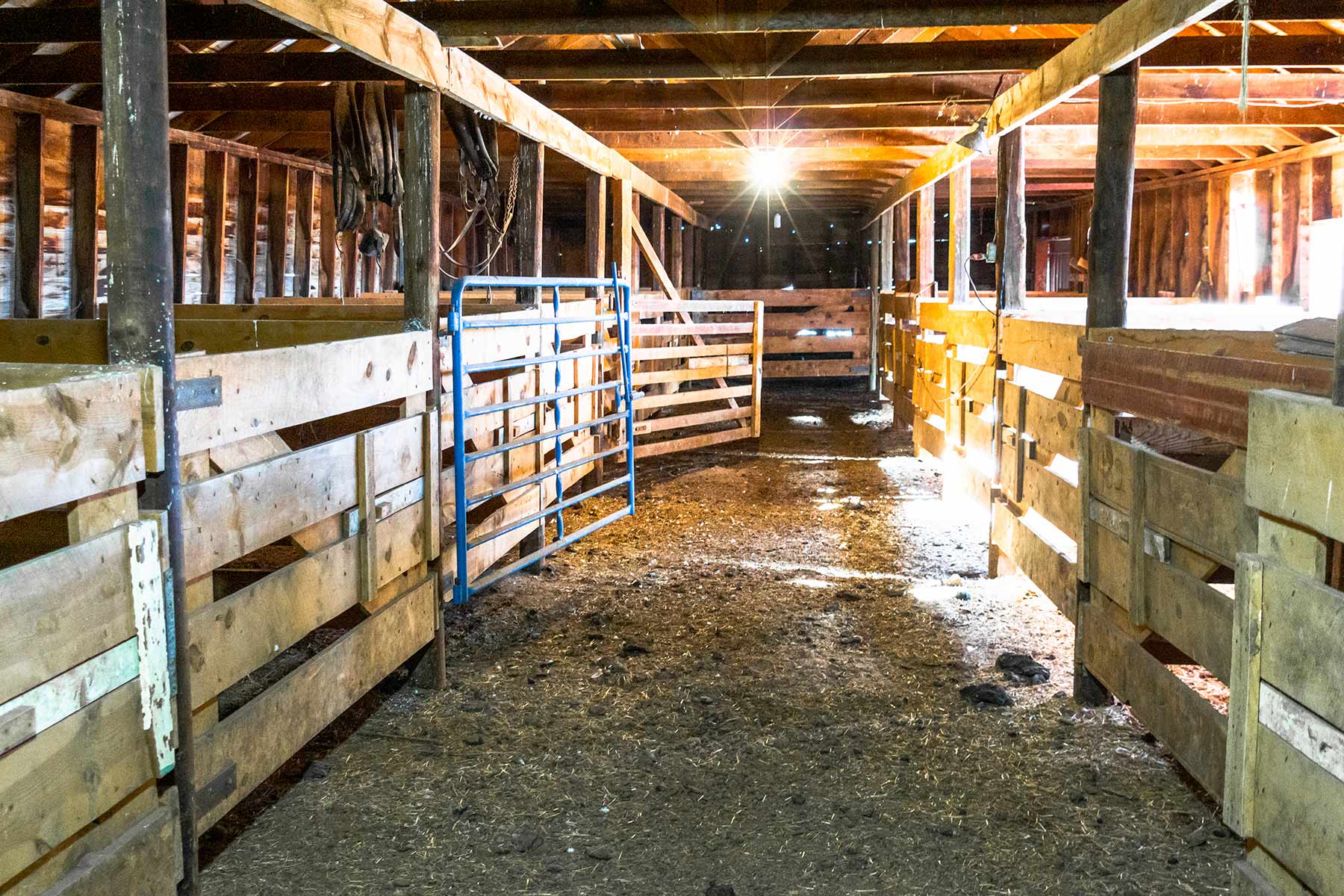 Malles Ranch property picture 53 of 70