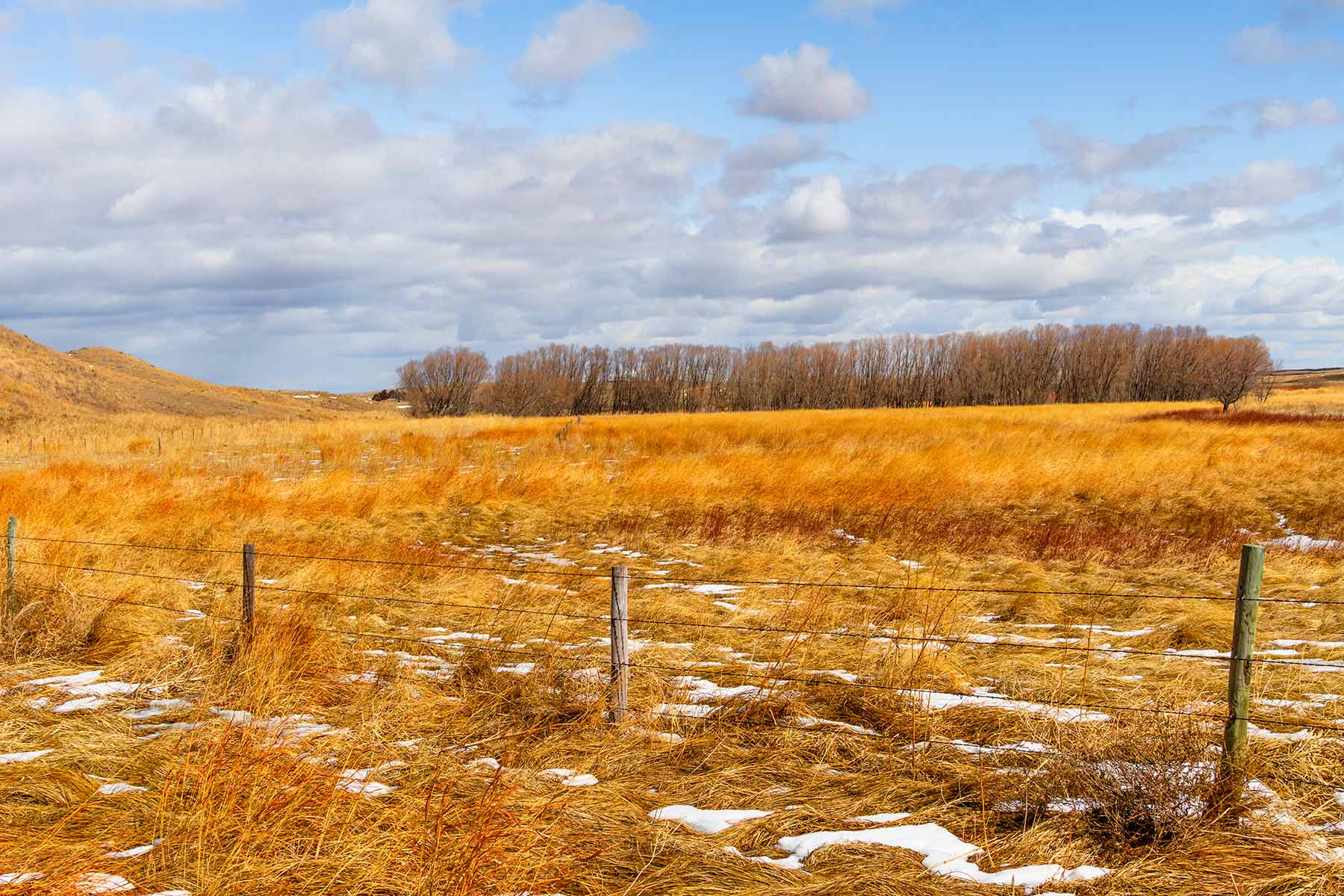 Malles Ranch property picture 64 of 70