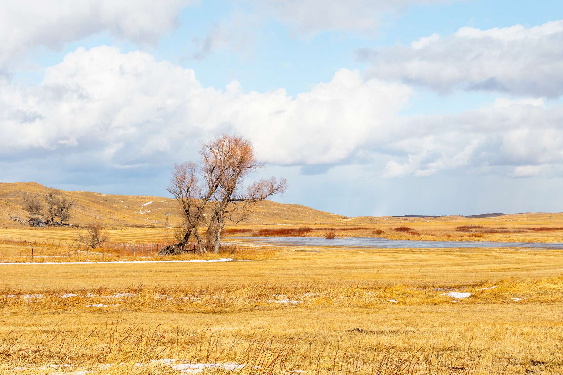 Malles Ranch property picture 69 of 70