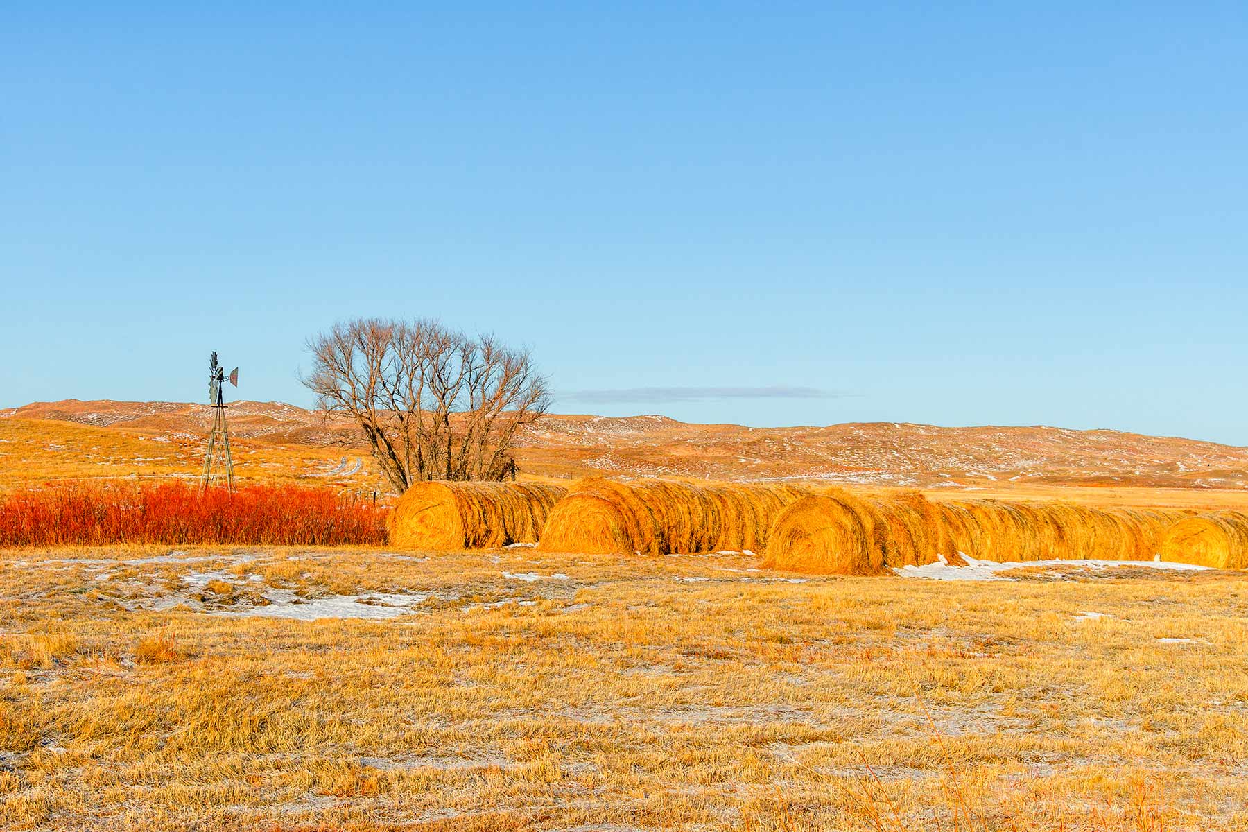 Malles Ranch property picture 37 of 70