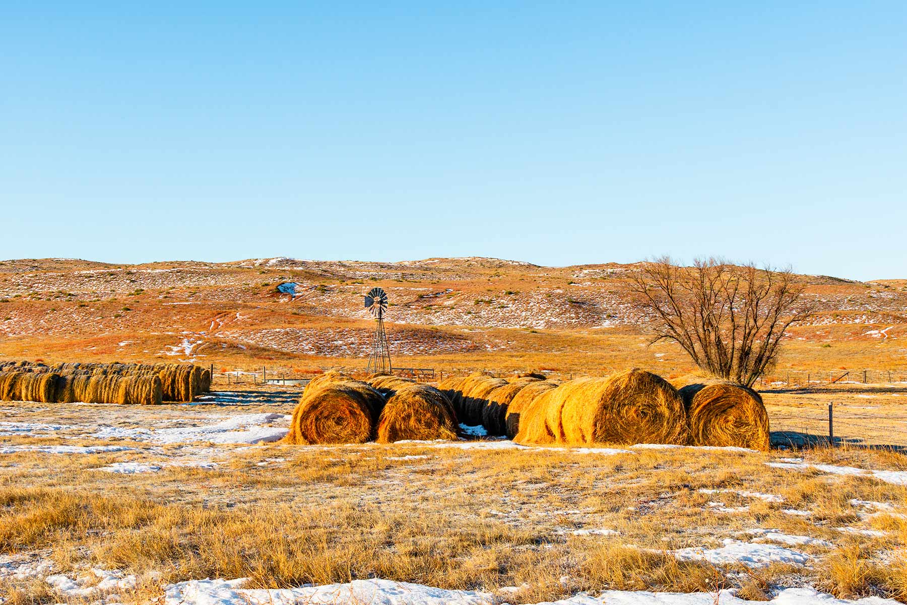 Malles Ranch property picture 41 of 70