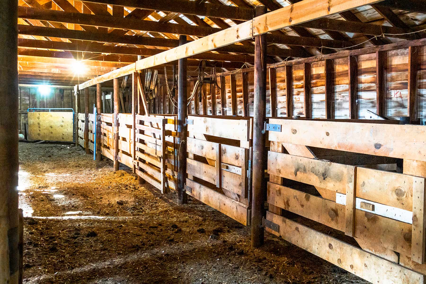 Malles Ranch property picture 54 of 70