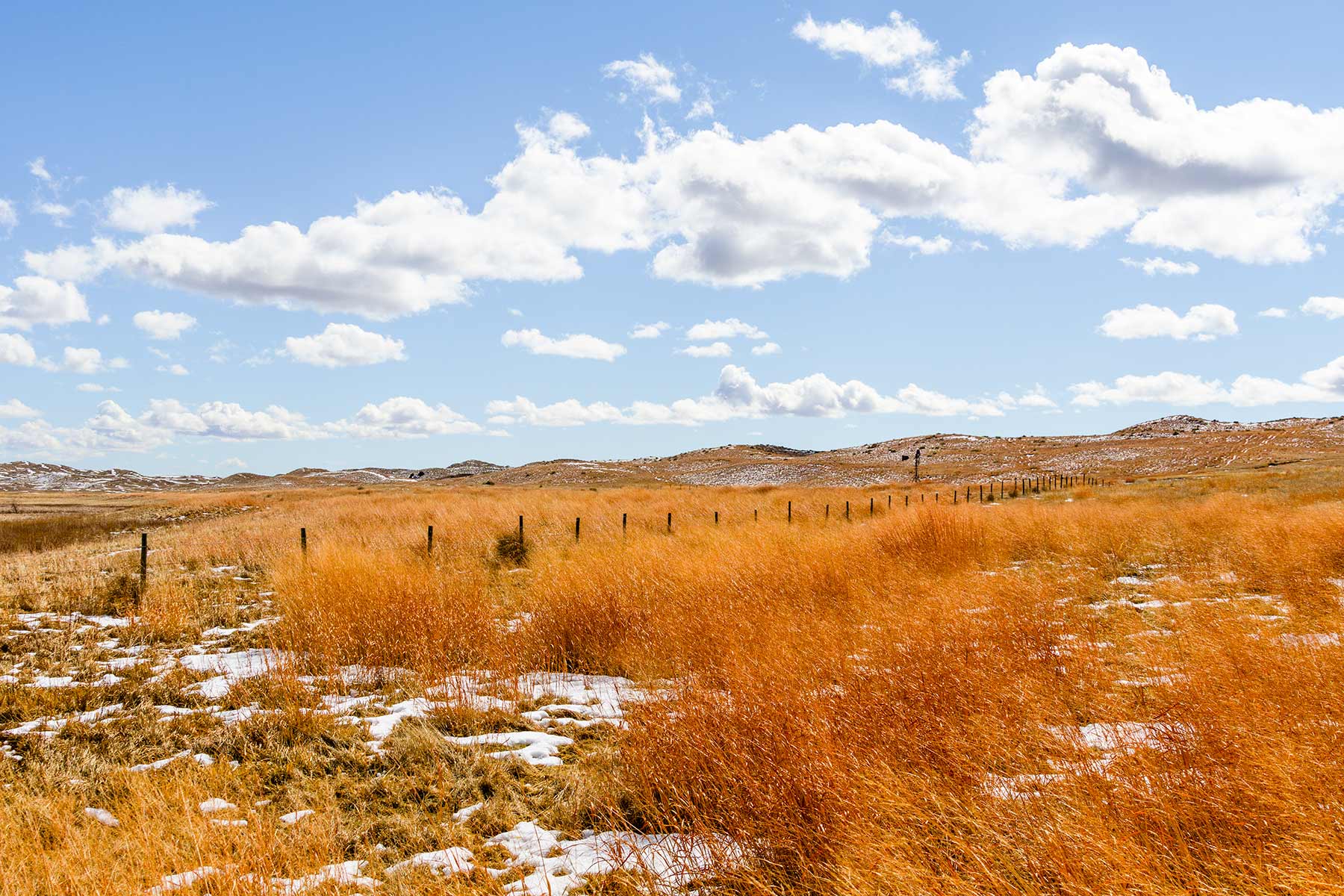 Malles Ranch property picture 62 of 70