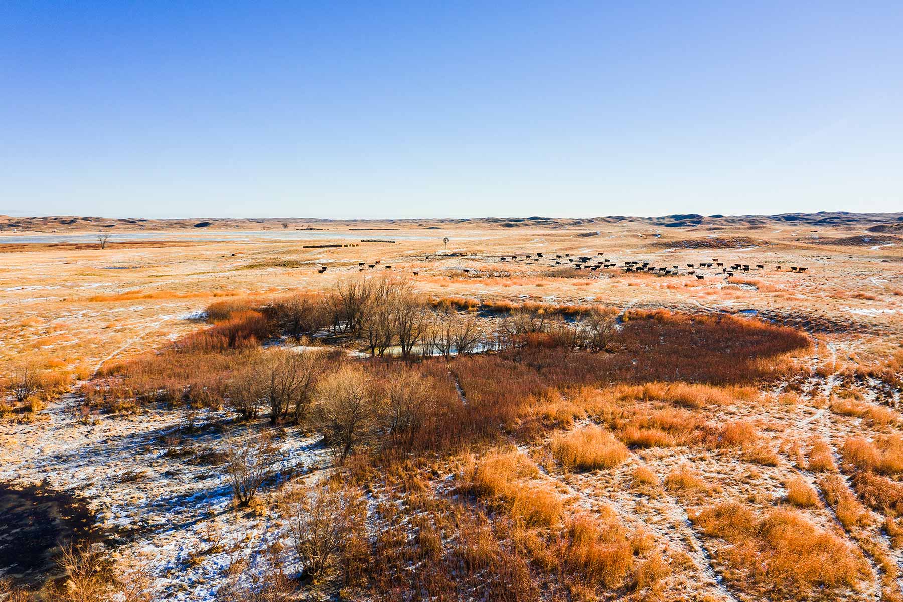 Malles Ranch property picture 33 of 70