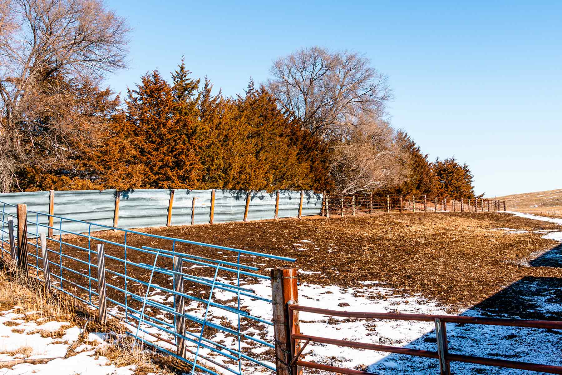 Malles Ranch property picture 51 of 70