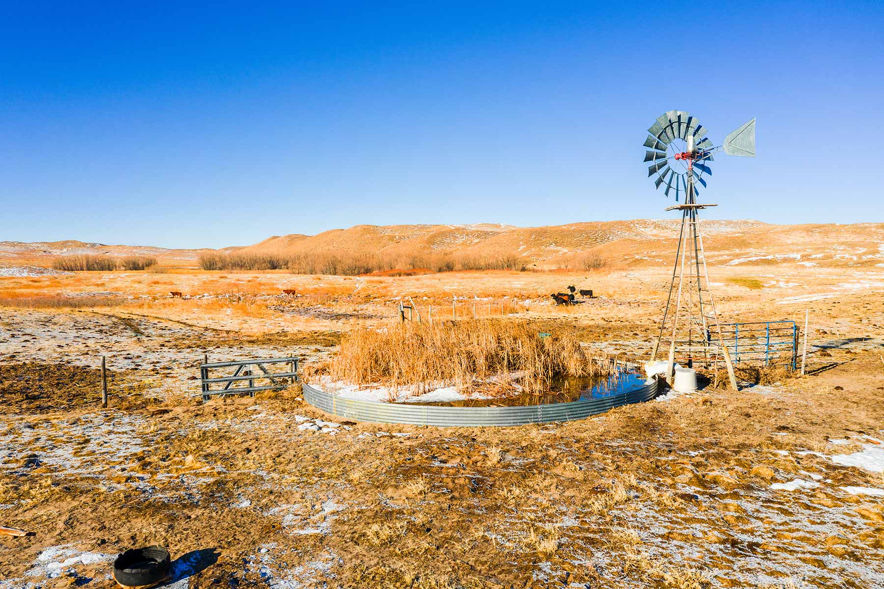 Malles Ranch property picture 34 of 70