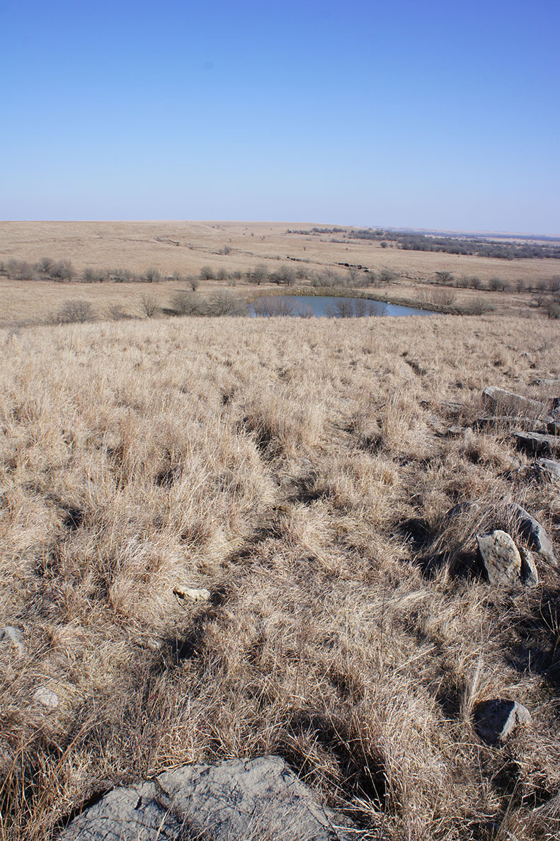 Greenwood County Pastures property picture 5 of 10