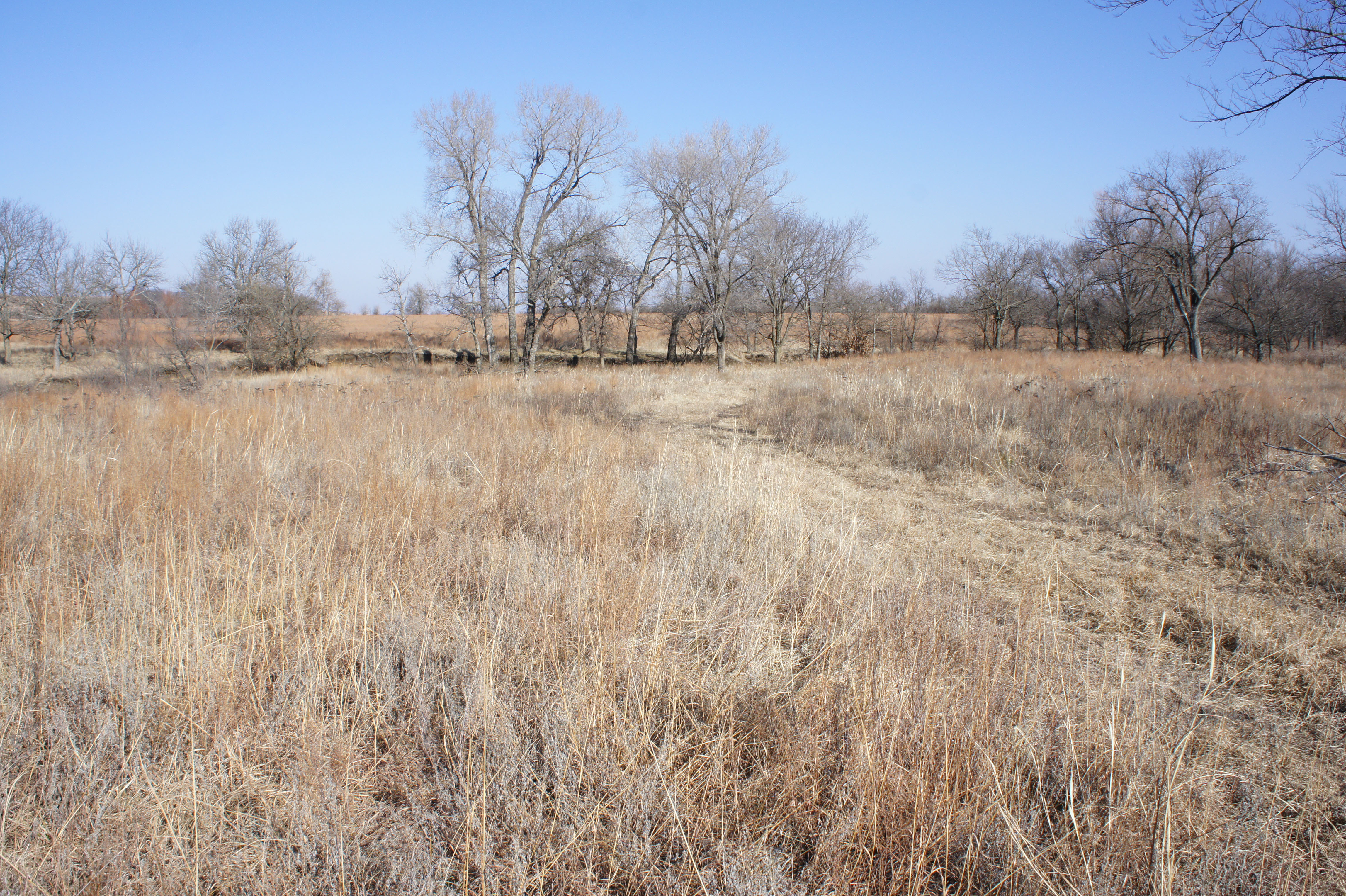 Greenwood County Pastures property picture 7 of 10