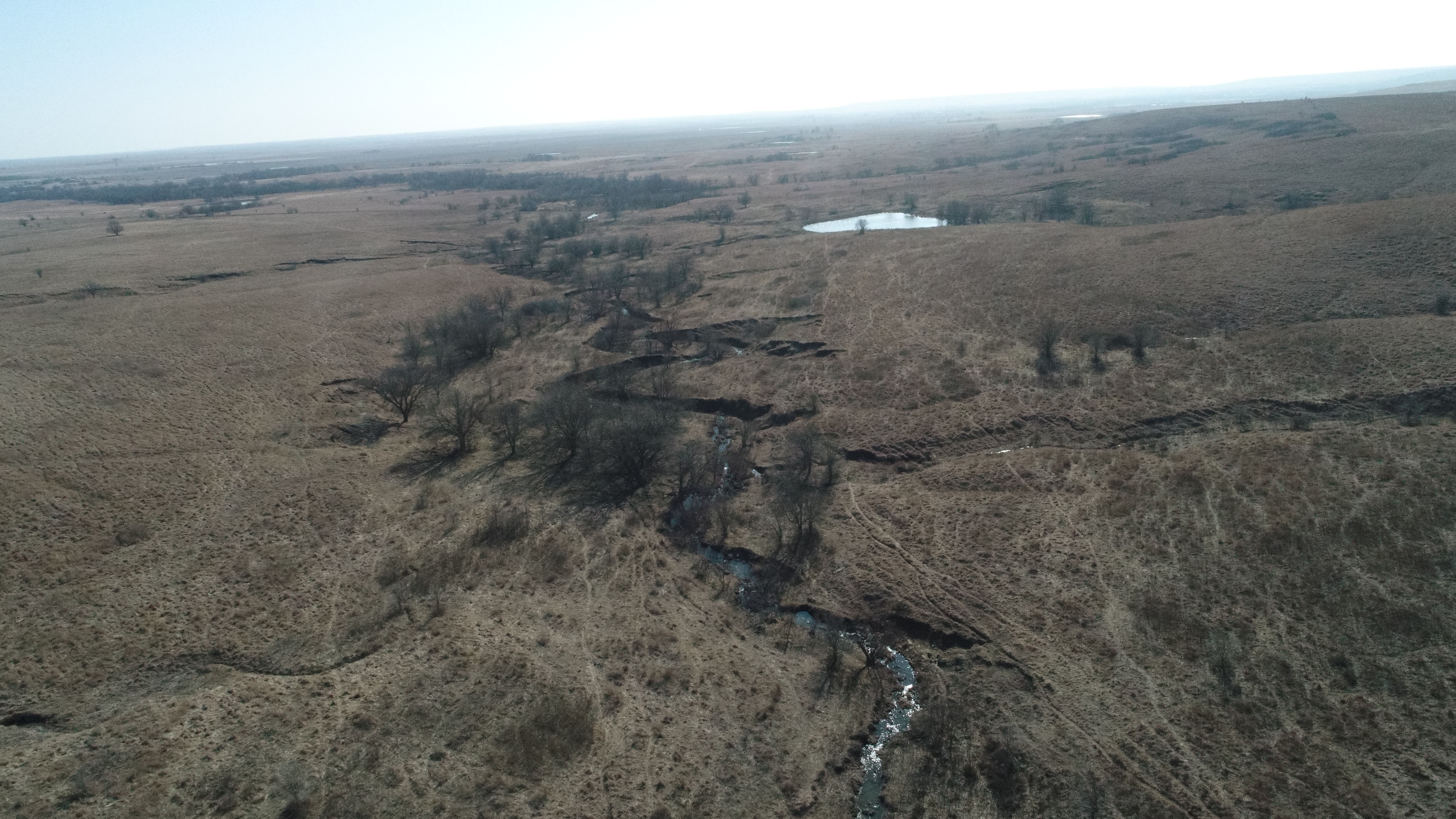 Greenwood County Pastures property picture 3 of 10