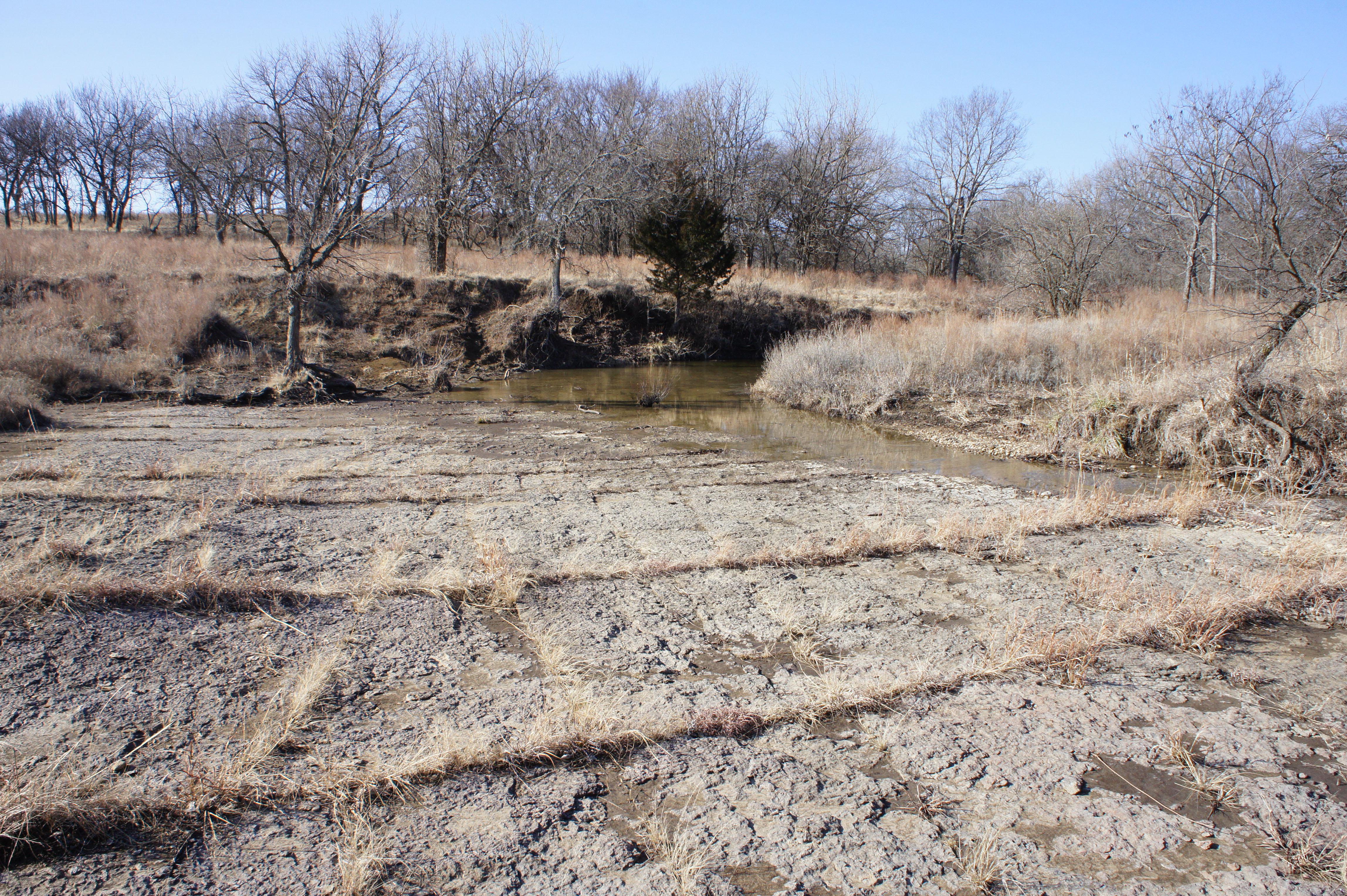 Greenwood County Pastures property picture 8 of 10