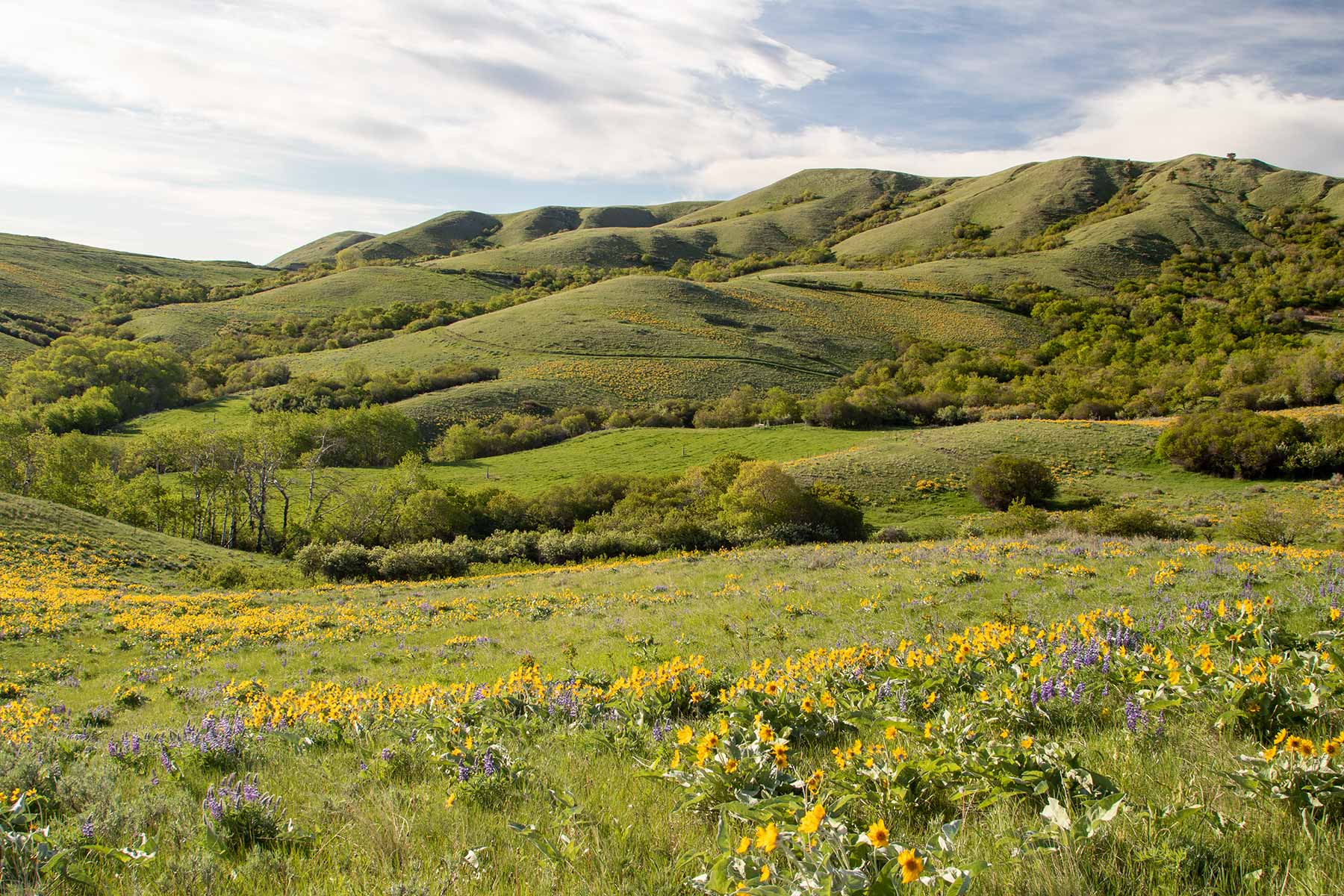 Mountain Side Vista property picture 13 of 28