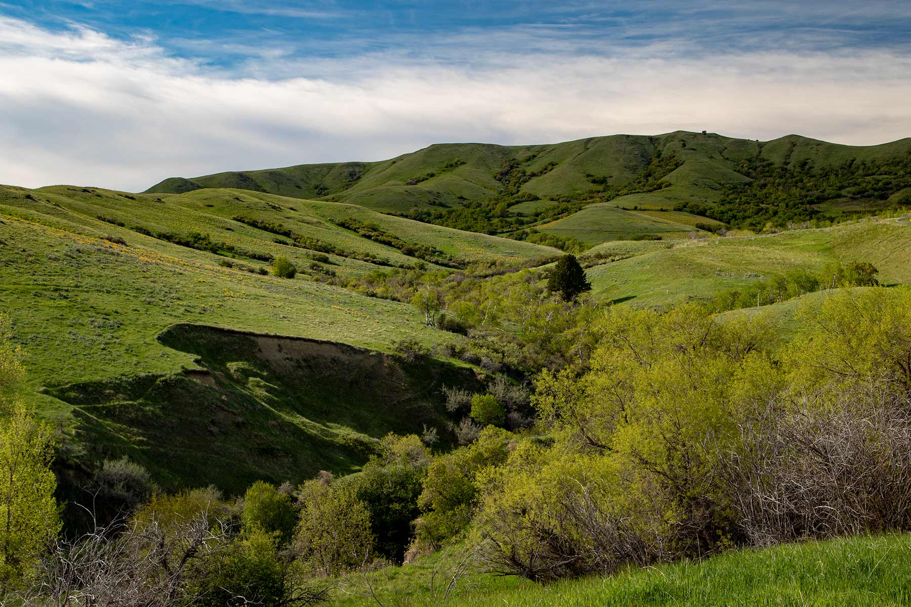 Mountain Side Vista property picture 11 of 28