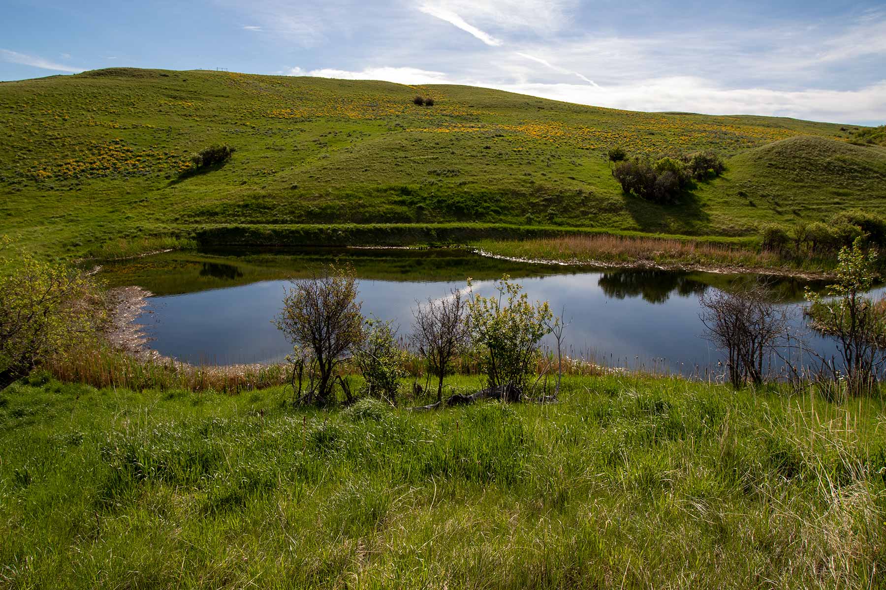 Mountain Side Vista property picture 15 of 28