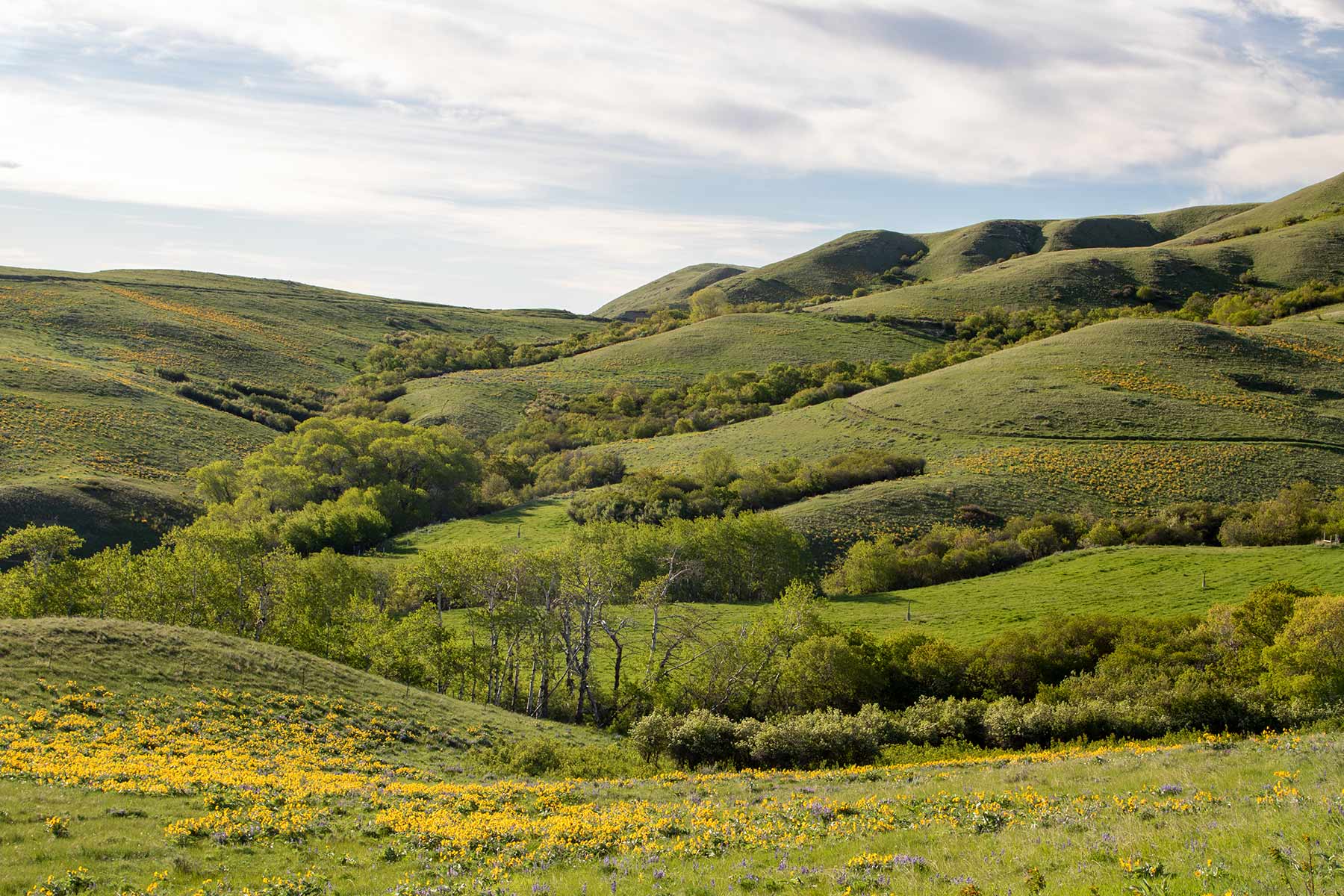 Mountain Side Vista property picture 8 of 28