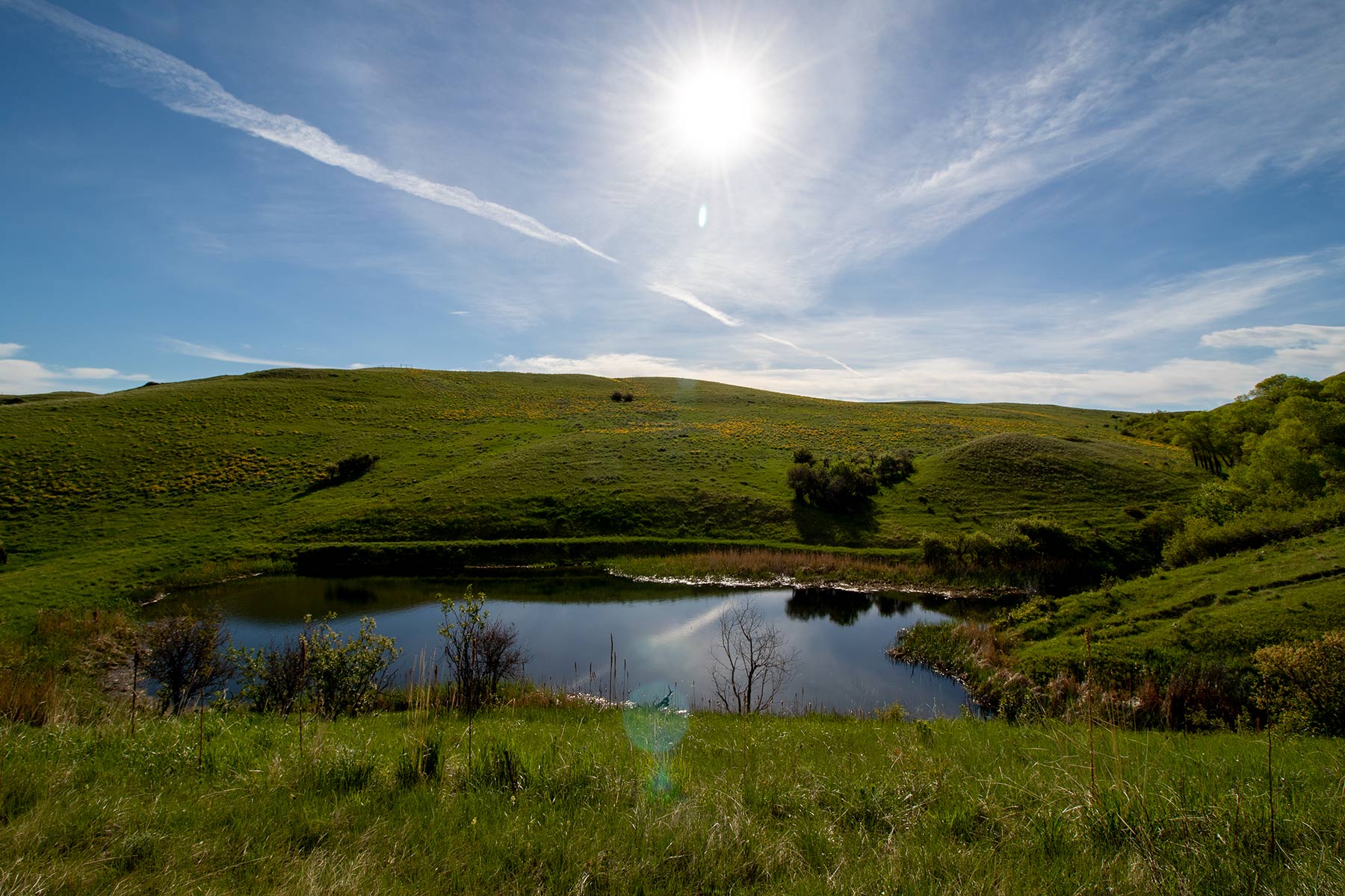 Mountain Side Vista property picture 5 of 28