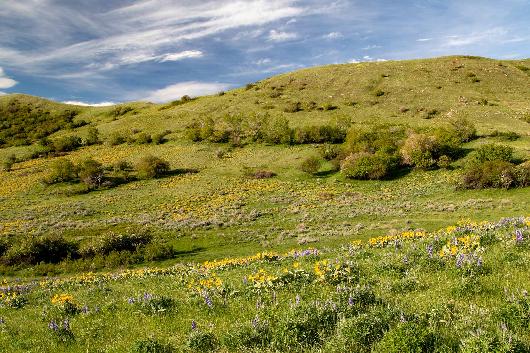 Mountain Side Vista property picture 10 of 28