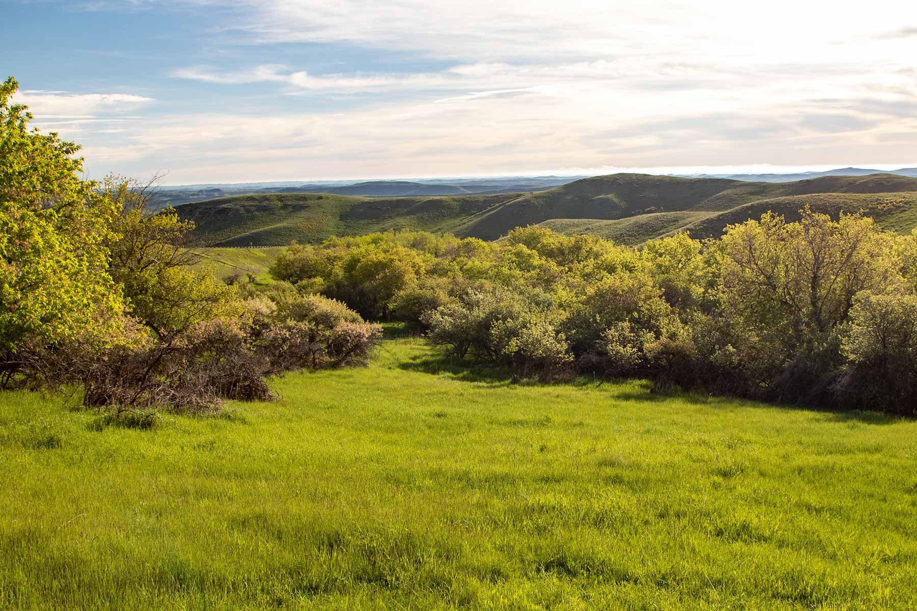 Mountain Side Vista property picture 9 of 28