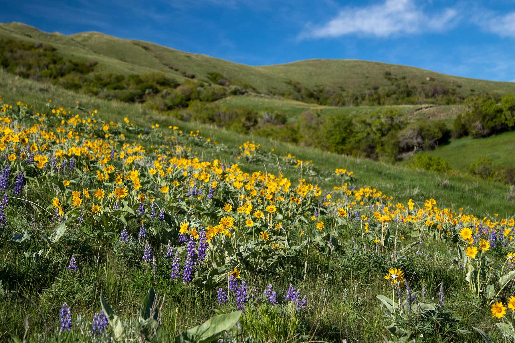 Mountain Side Vista property picture 2 of 28