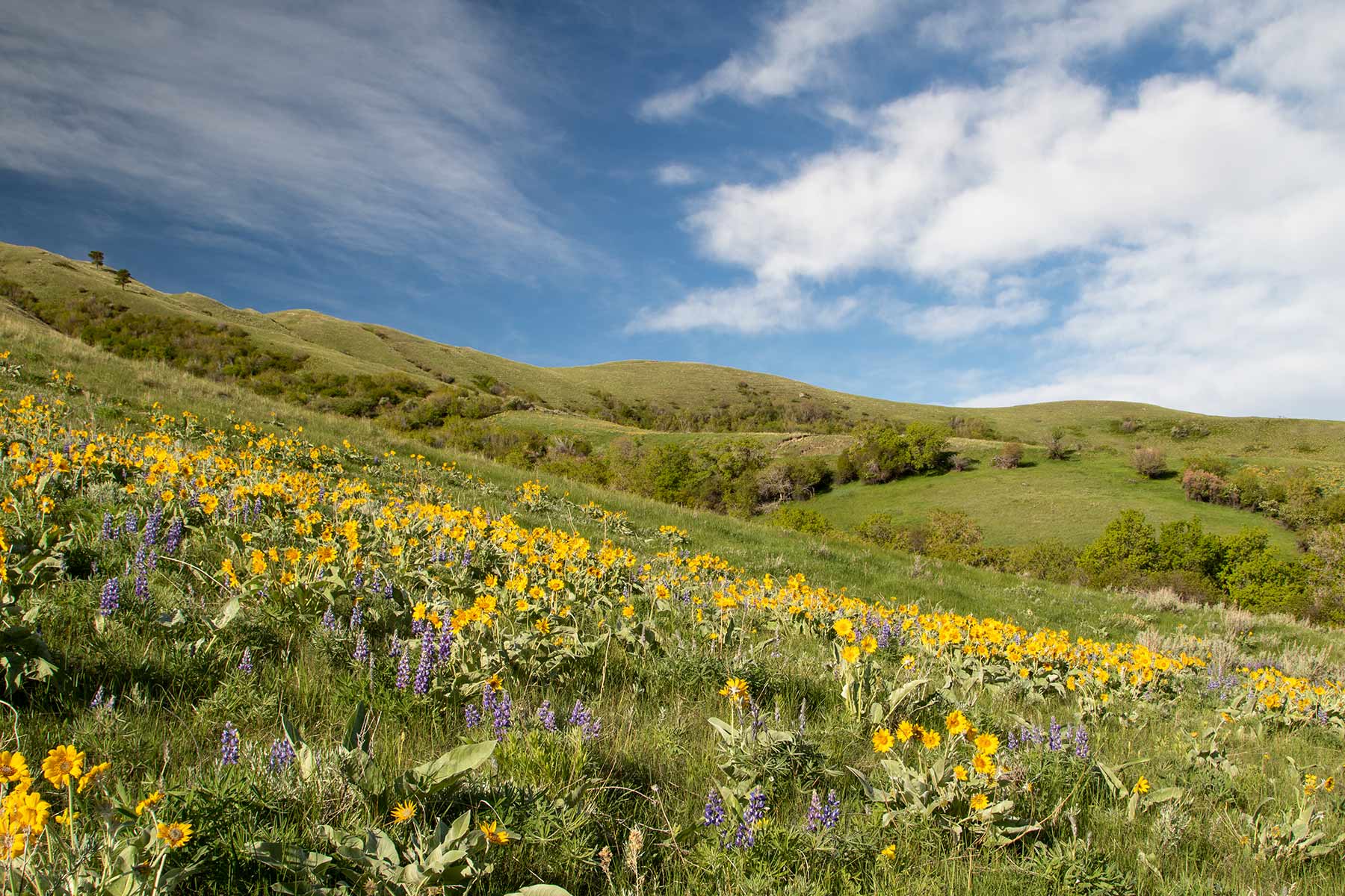 Mountain Side Vista property picture 28 of 28