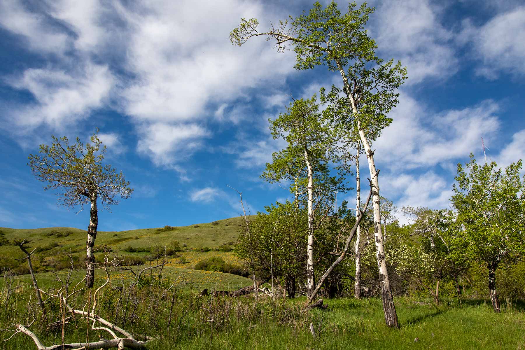 Mountain Side Vista property picture 7 of 28