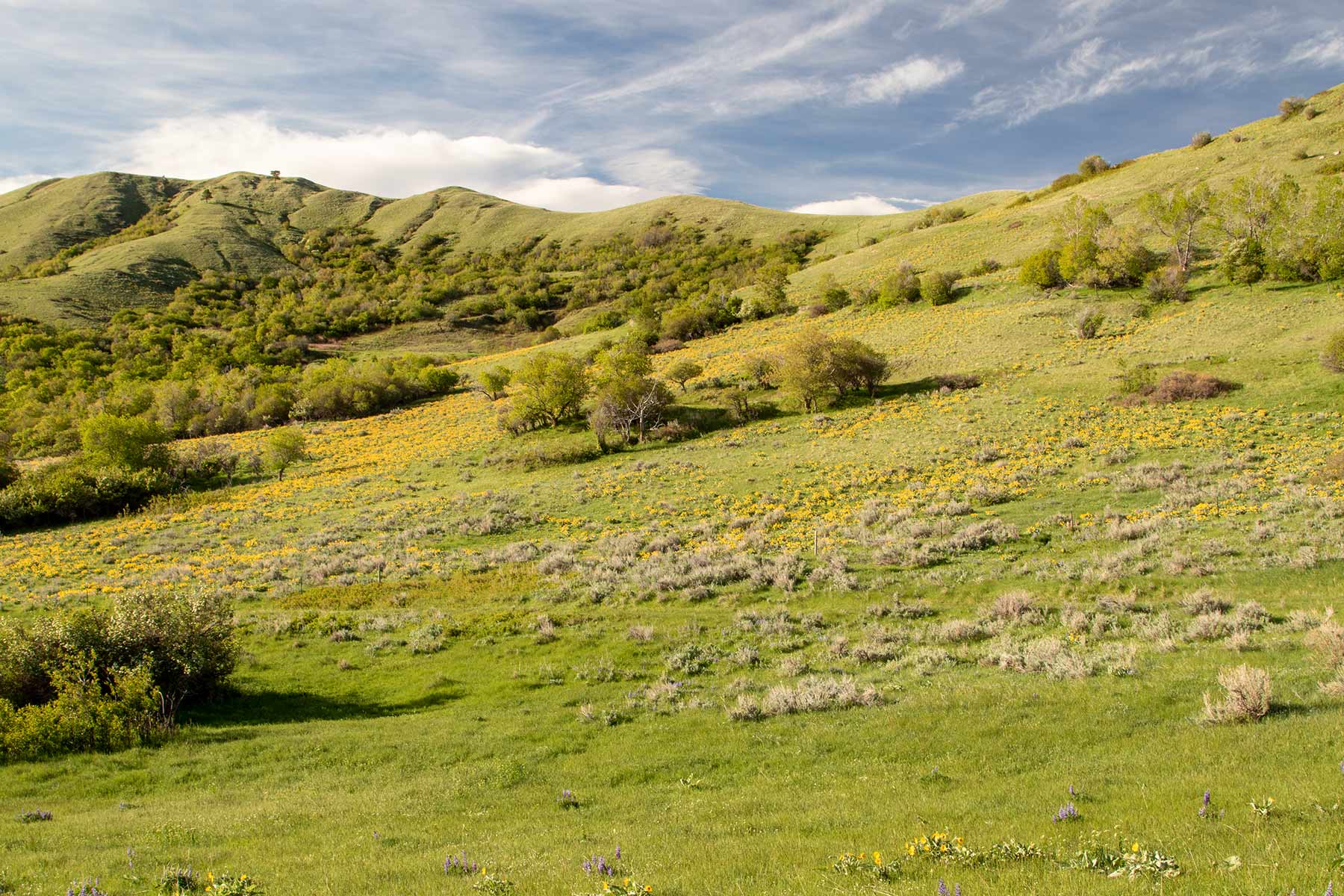 Mountain Side Vista property picture 16 of 28