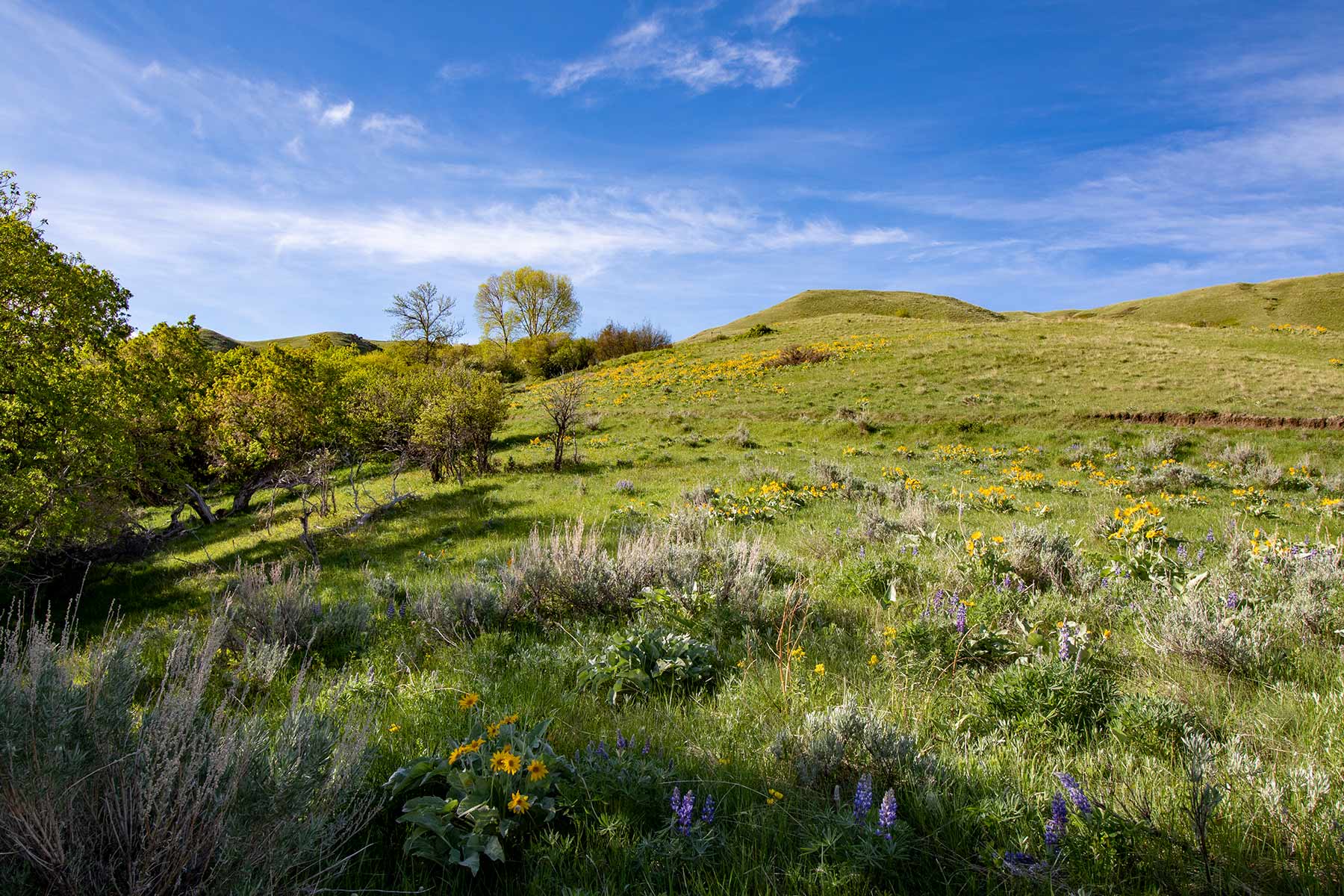 Mountain Side Vista property picture 26 of 28