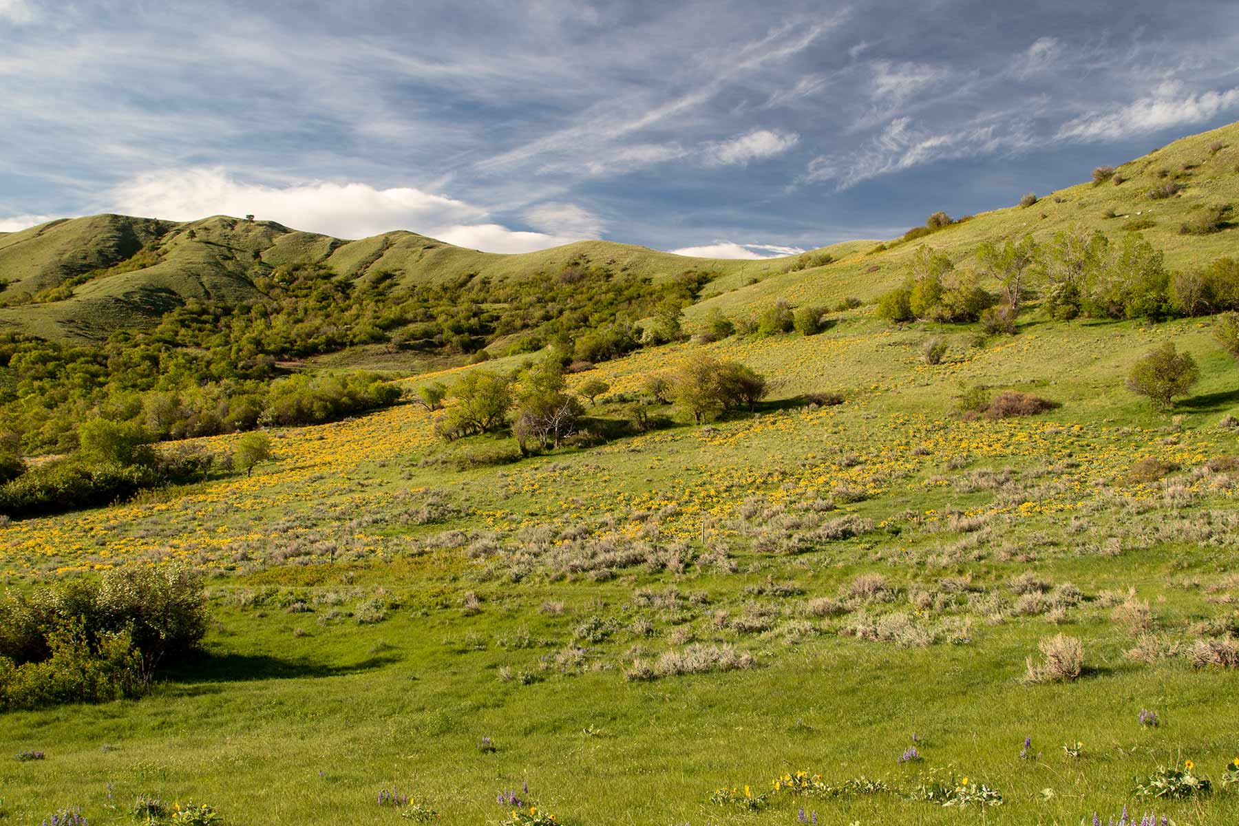 Mountain Side Vista property picture 19 of 28