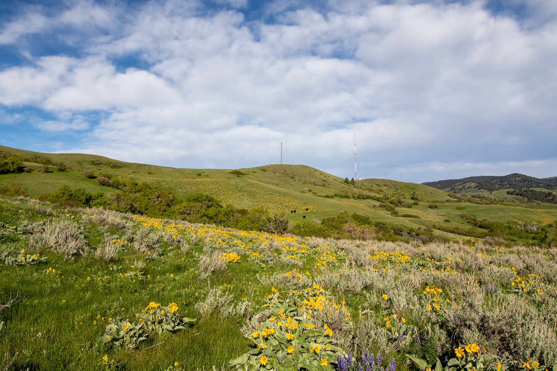 Mountain Side Vista property picture 12 of 28