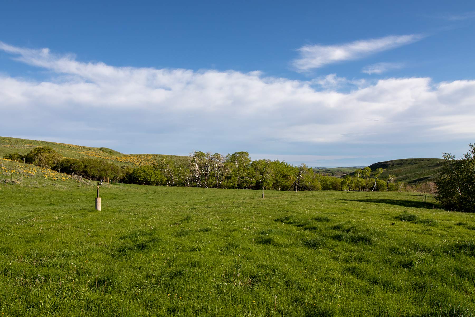 Mountain Side Vista property picture 20 of 28