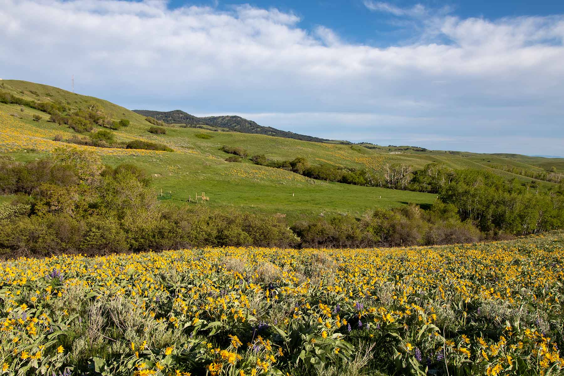 Mountain Side Vista property picture 21 of 28
