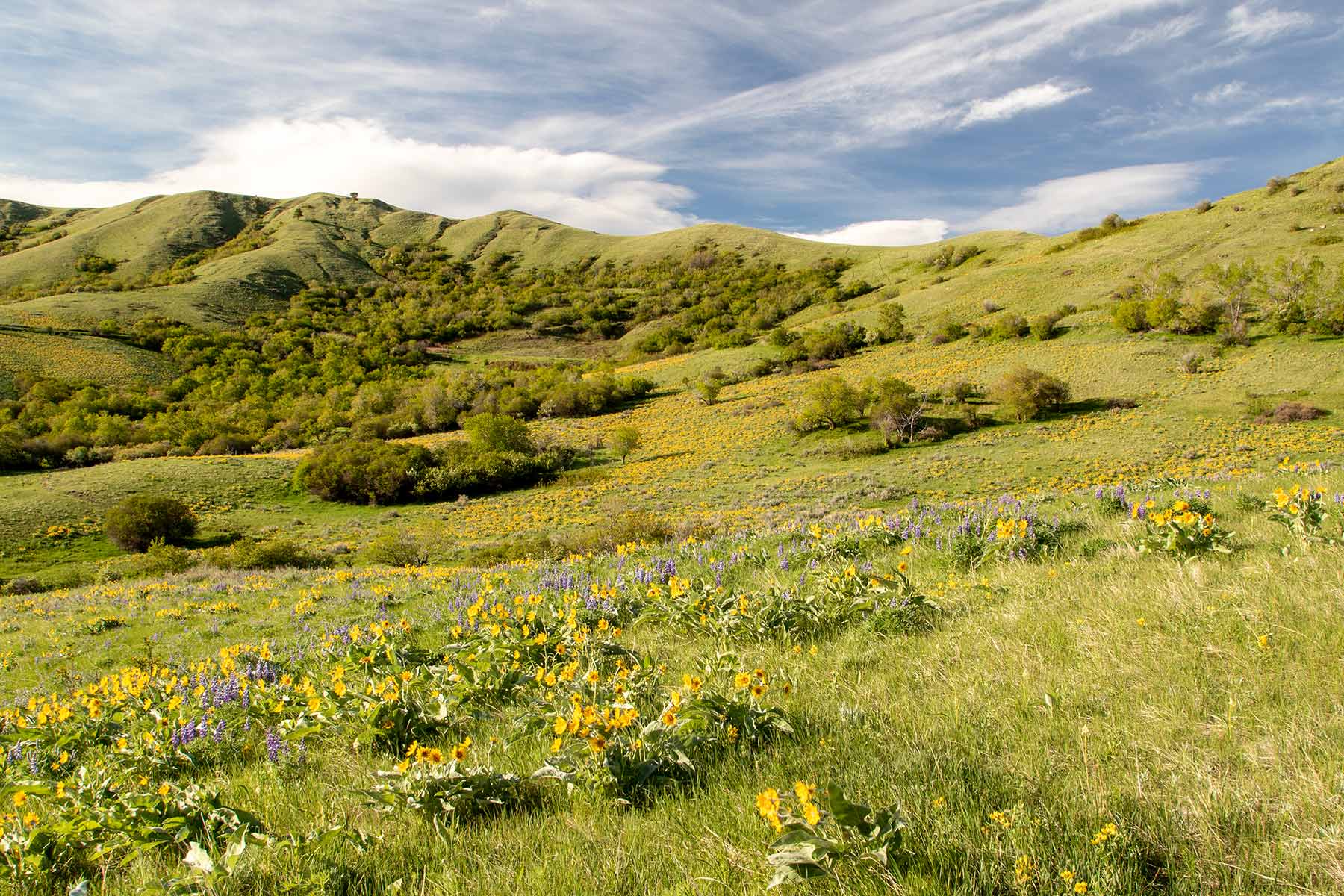 Mountain Side Vista property picture 14 of 28